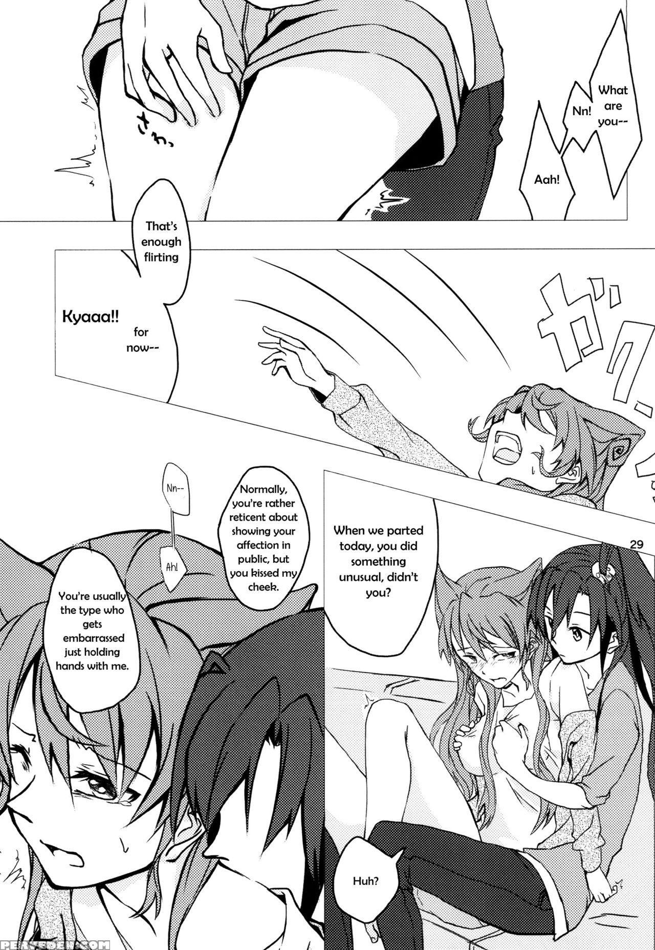 (c85) [hb (futoo)] Wunsch (senki Zesshou Symphogear) [english] {halcyonvalor & Sexy Akiba Detectives} Chapter 1 Page 29