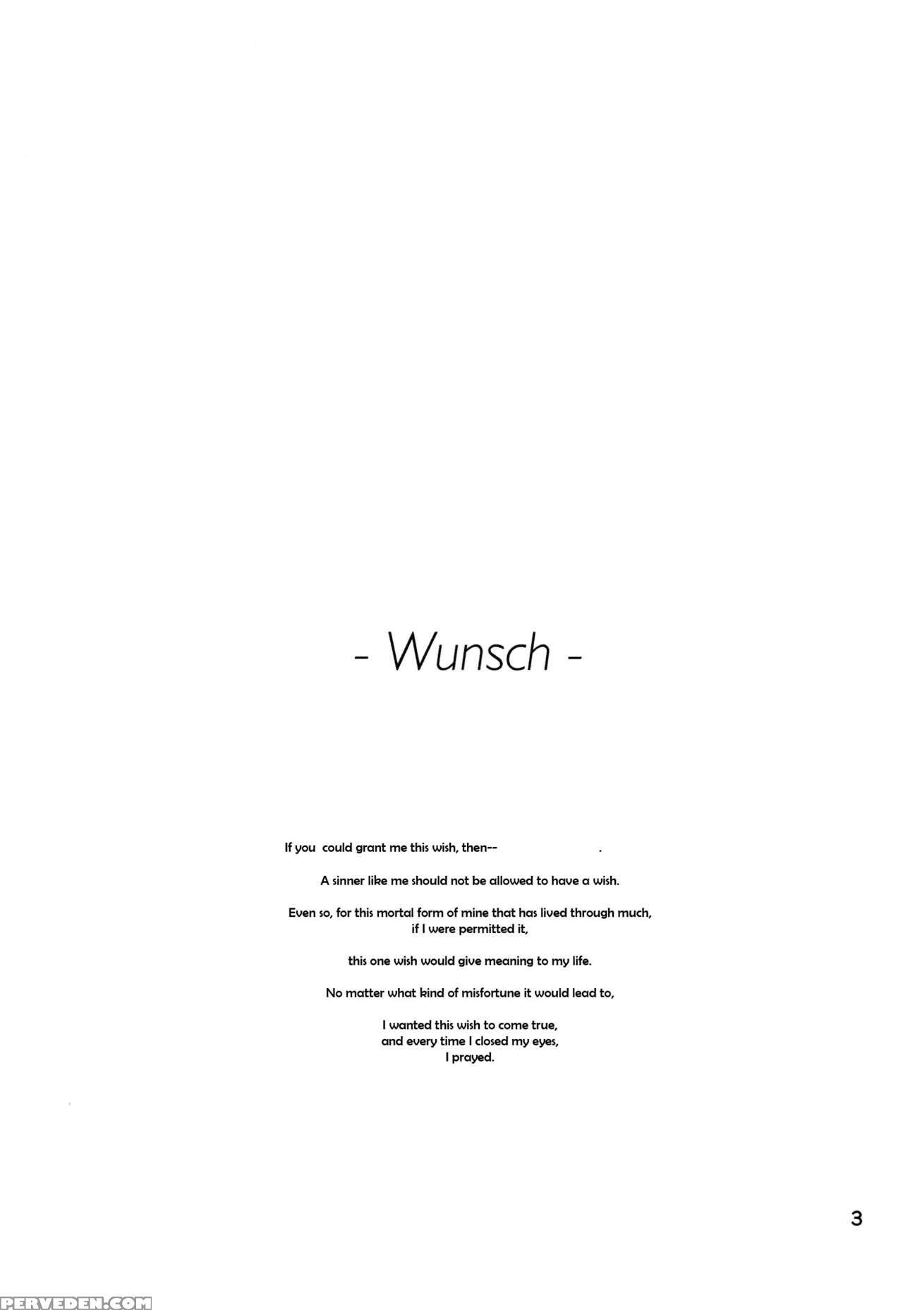 (c85) [hb (futoo)] Wunsch (senki Zesshou Symphogear) [english] {halcyonvalor & Sexy Akiba Detectives} Chapter 1 Page 3