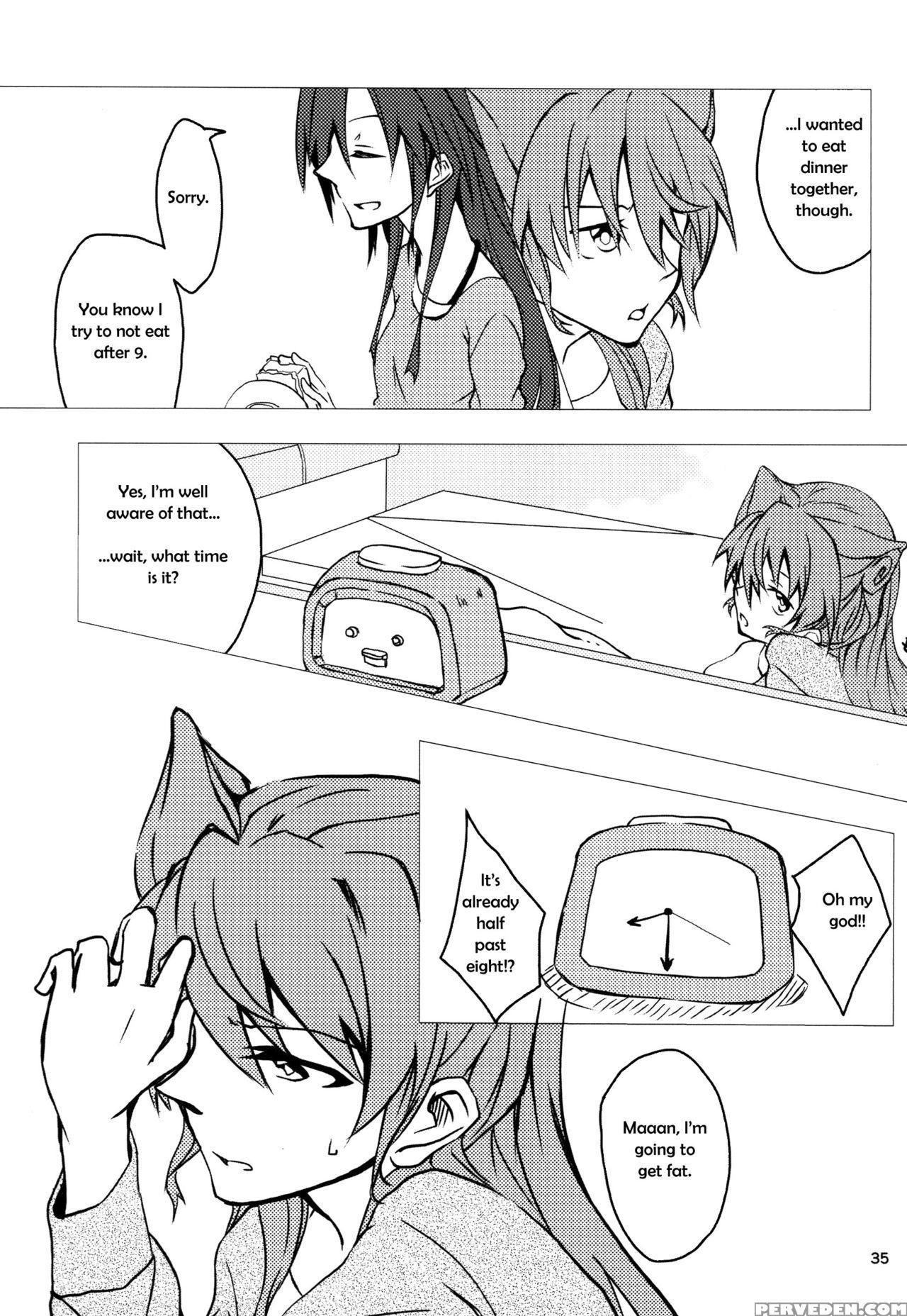 (c85) [hb (futoo)] Wunsch (senki Zesshou Symphogear) [english] {halcyonvalor & Sexy Akiba Detectives} Chapter 1 Page 35