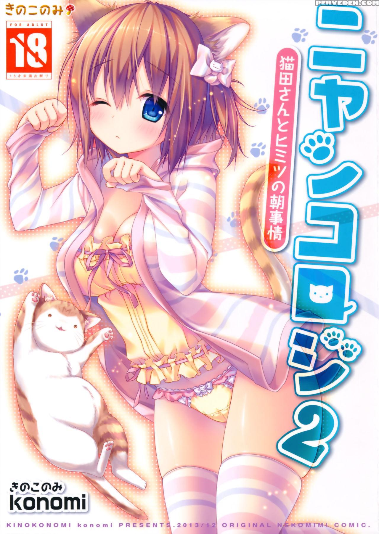 (c85) [kinokonomi (konomi)] Nyancology 2 -nekota-s... 1