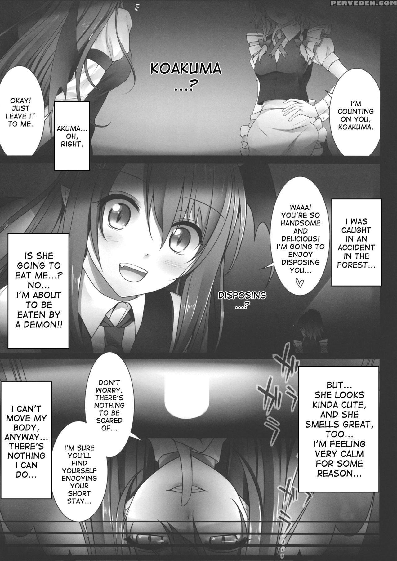 (c86) [erostellus (miel)] Akuma De Ikenie! (touhou Project) [english] [desudesu] 1