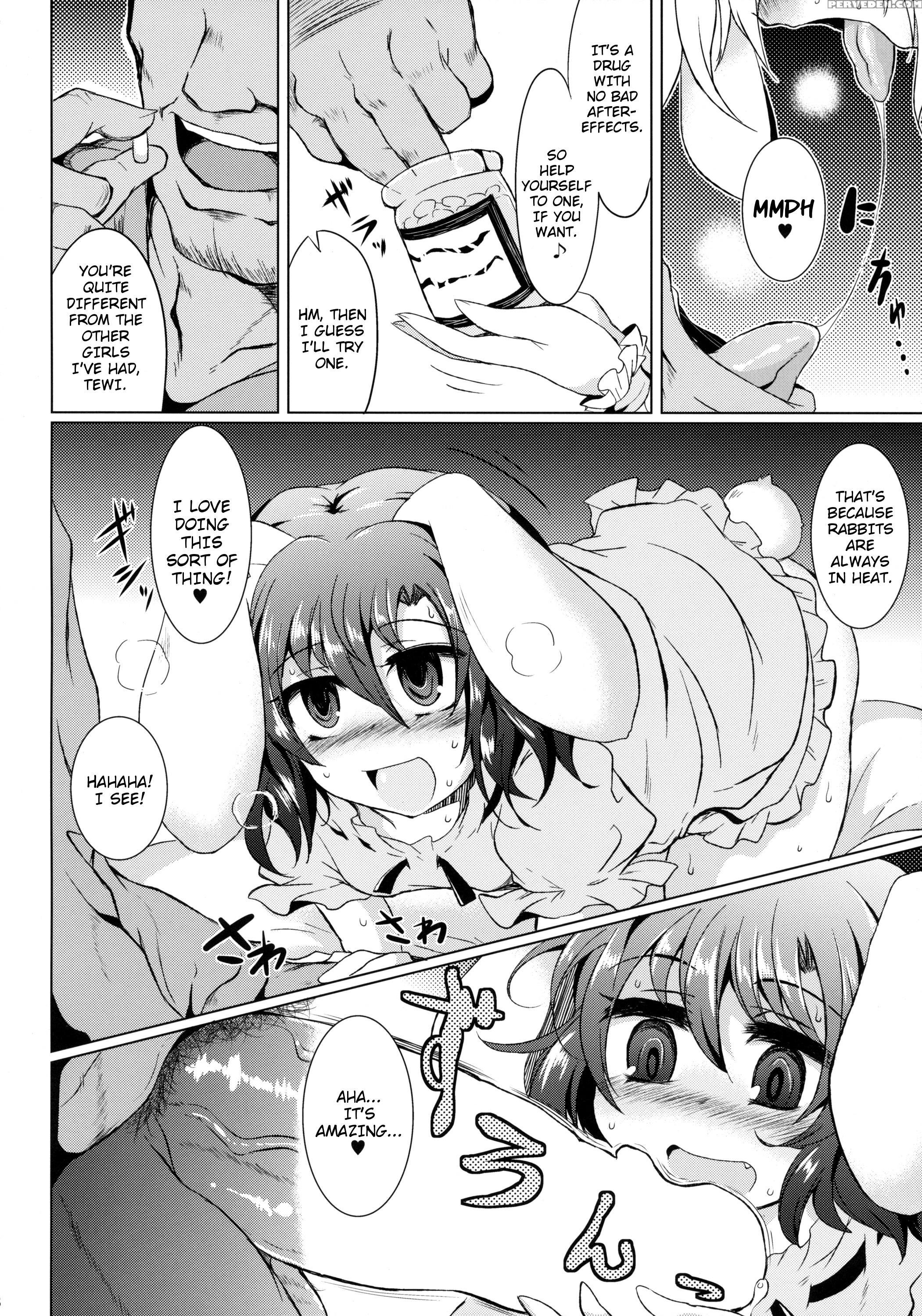 (c86) [megasoundorchestra (sanwaribiki)] Gensou Enkou -inaba- (touhou Project) [english] [rqwrqw] 1