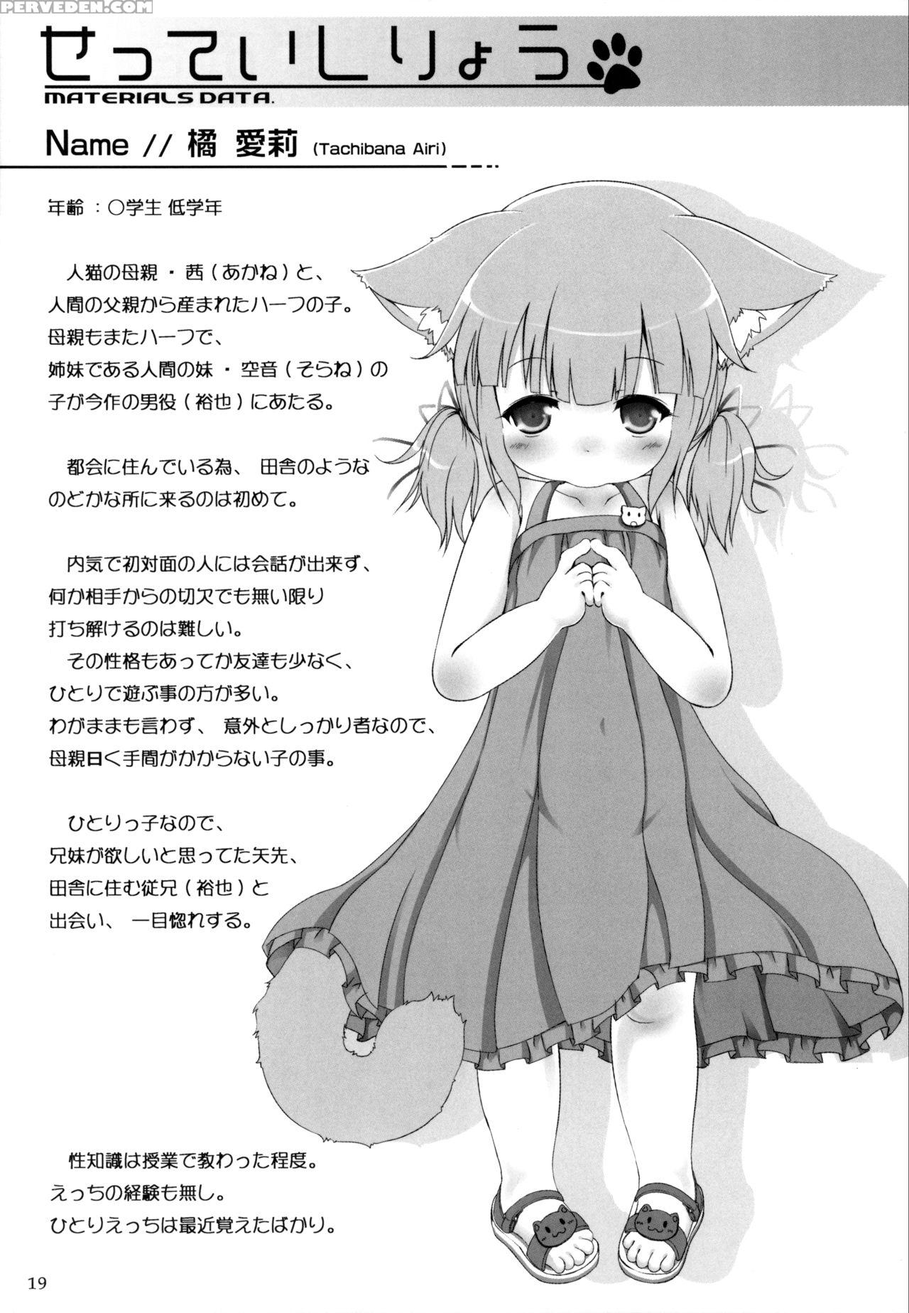 (c87) [cat Expert (nekousa)] Neko Puni! Vol.11 [english] [atf] 1