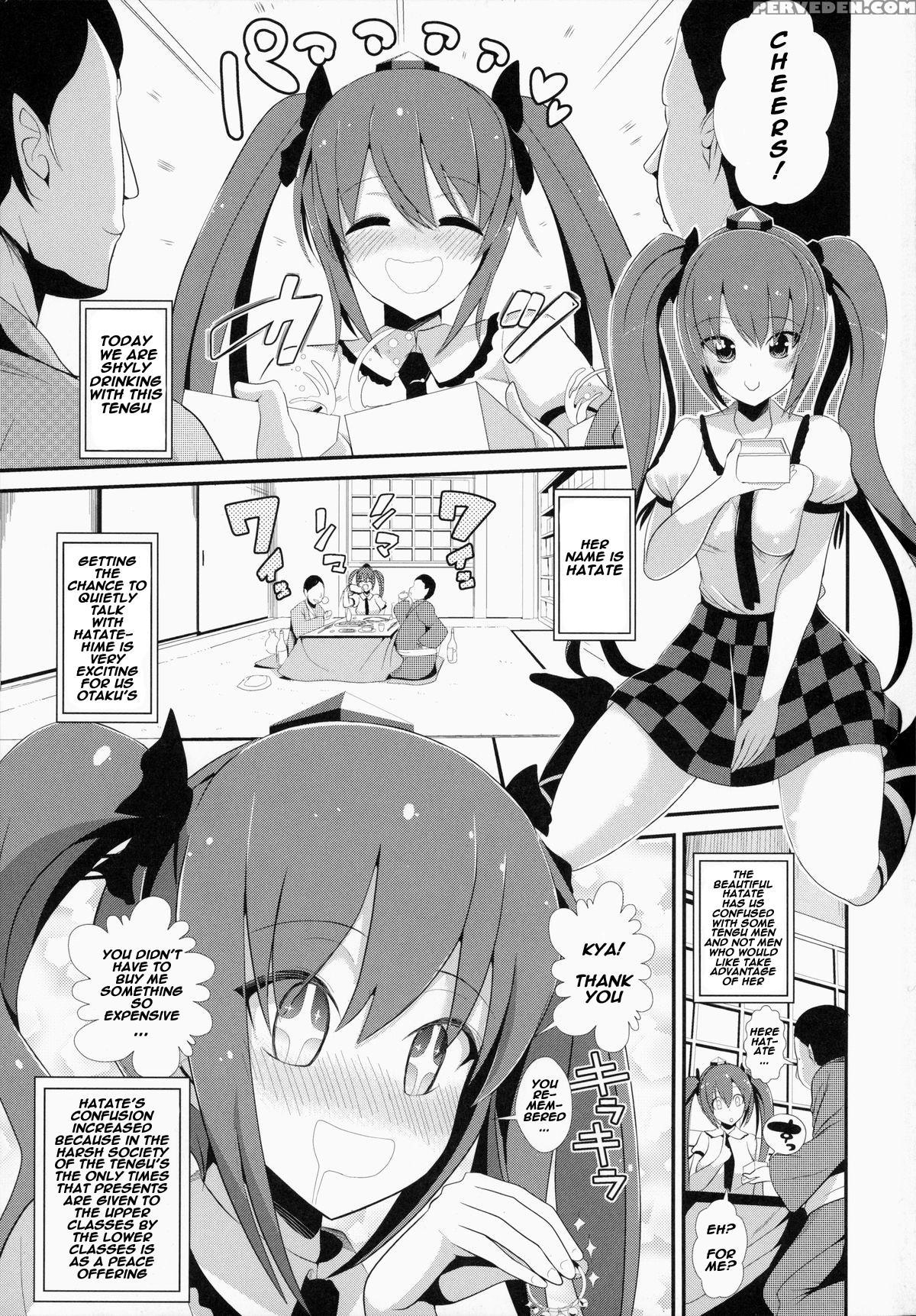 (c87) [haitokukan (haitokukan)] Touhou Deisuikan 2 Himekaidou Hatate (touhou Project) [english] [naxusnl] 1