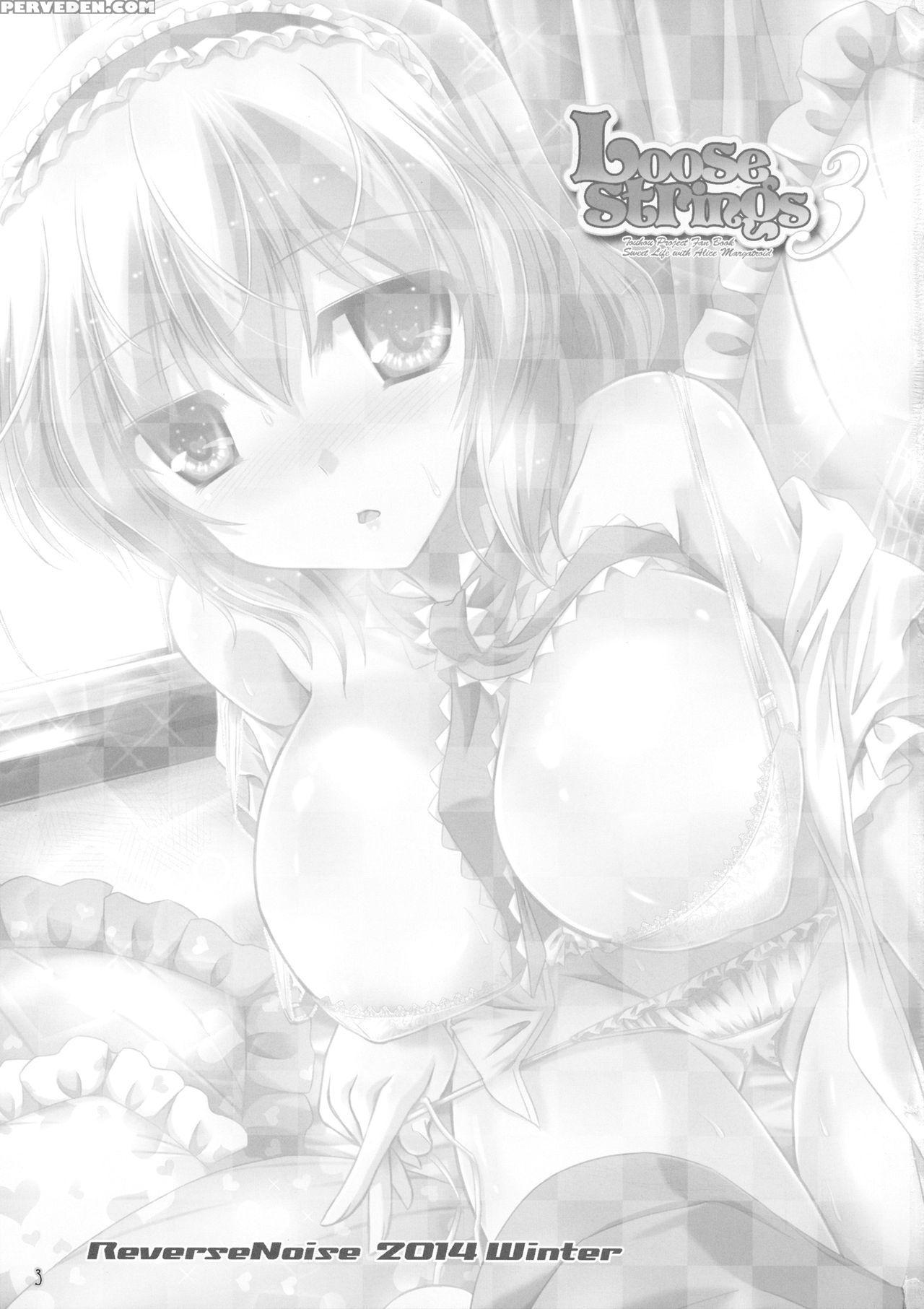 (c87) [reverse Noise (yamu)] Loose Strings 3 (touhou Project) [english] {hennojin} Chapter 1 Page 2