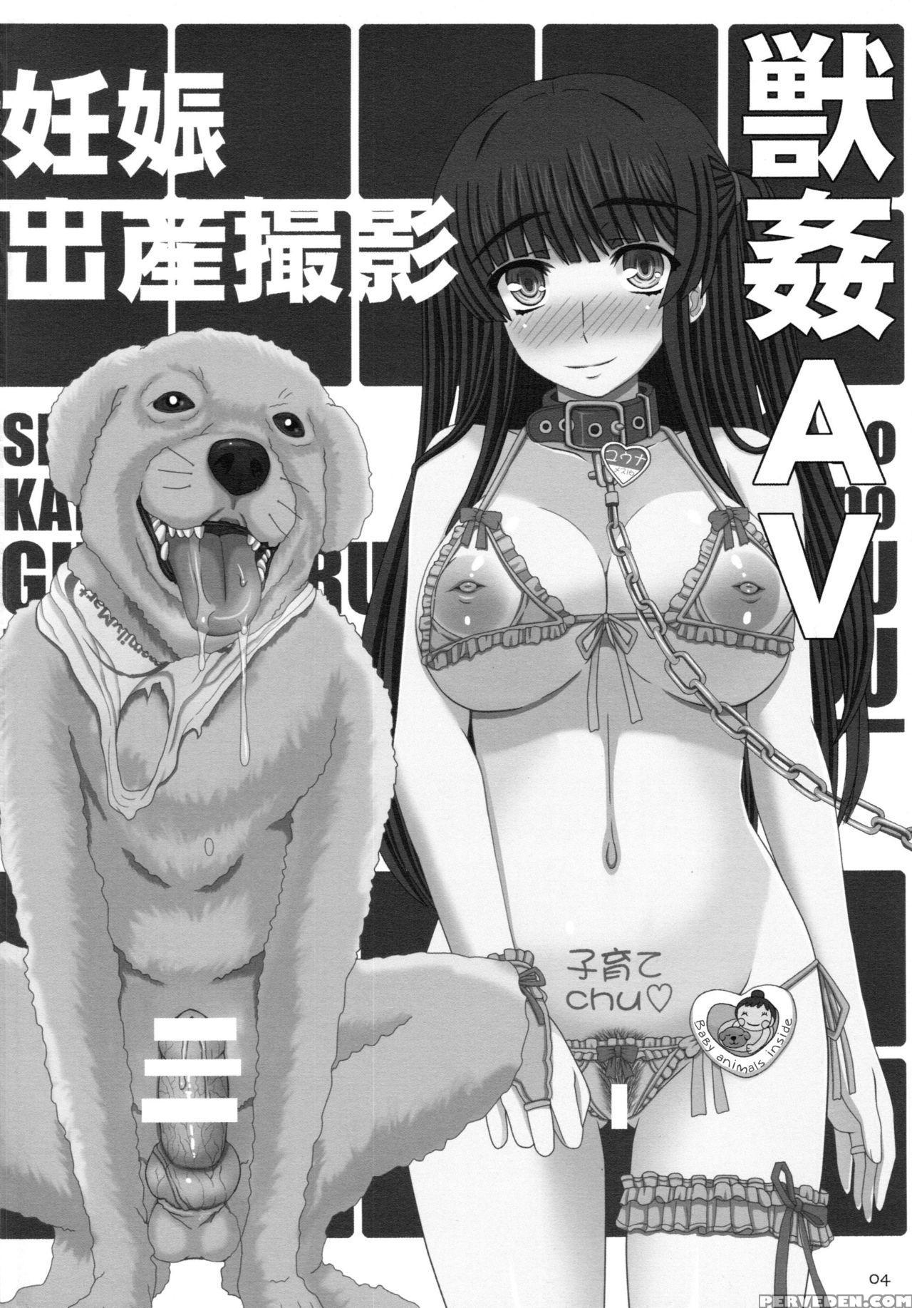 (c87) [shiawase Kyouwakoku (shiawase No Katachi)] Shiawase No Katachi No Guruguru Netachou 87 Juukan Av Ninshin Shuusan Satsuei [english] [atf] 1