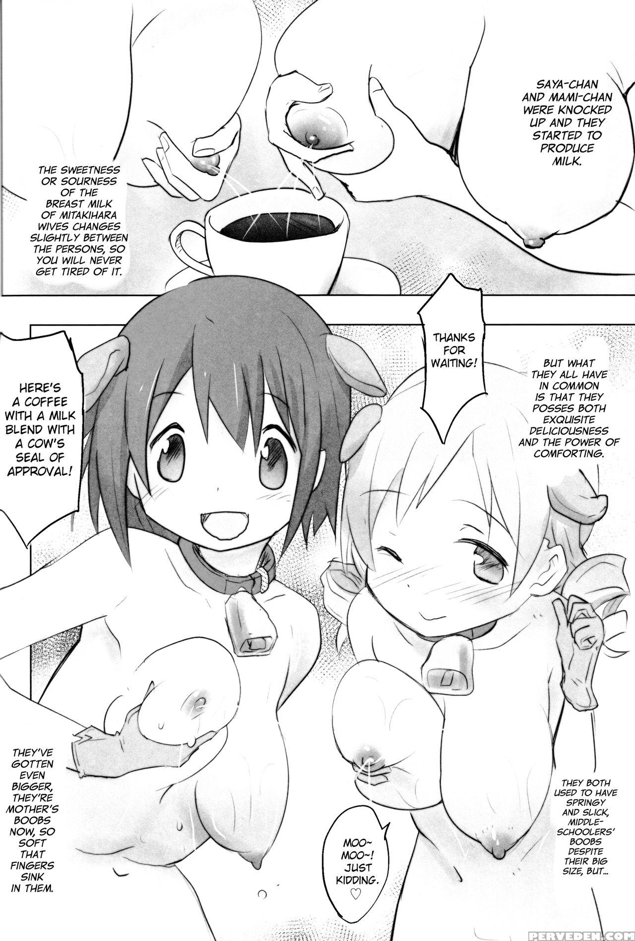 (c87) [tanpopo (anshin Mama)] Tono-sama Ni Natta No De Mitakihara No Tame Ni Kozukuri O Ganbaru Hon (puella Magi Madoka Magica) [english] [biribiri] 1