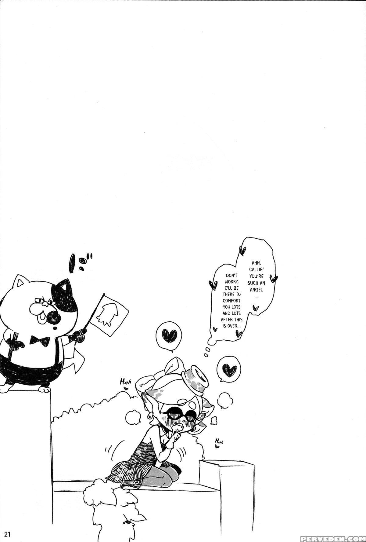 (c88) [hanairogaeru (kitsuneko Anko)] Ika No Seitai Chousa Houkokusho (splatoon) [english] {thetsuuyaku} Chapter 1 Page 20