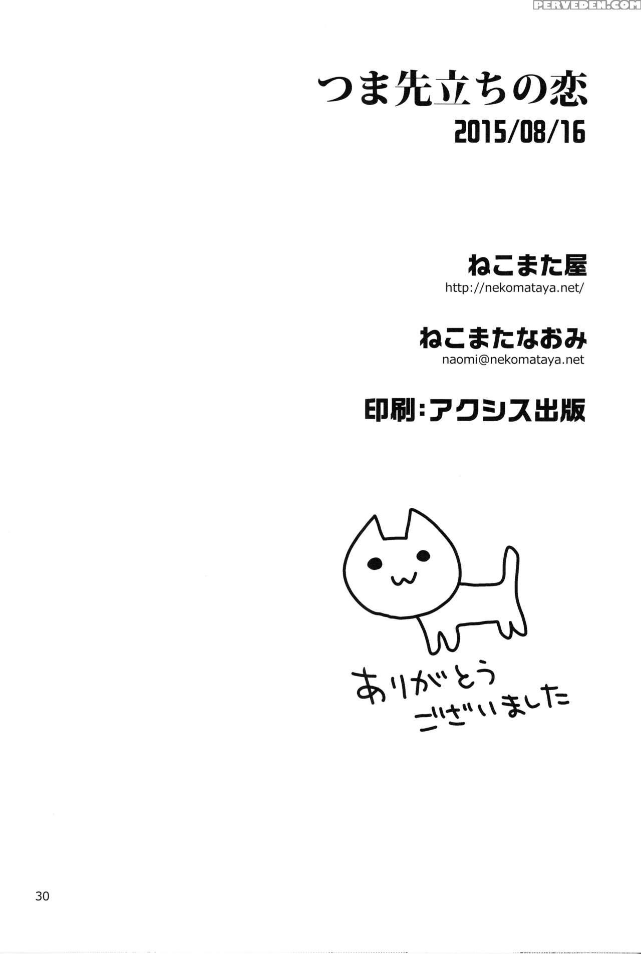 (c88) [nekomataya (nekomata Naomi)] Tsumasakidachi No Koi (the 1