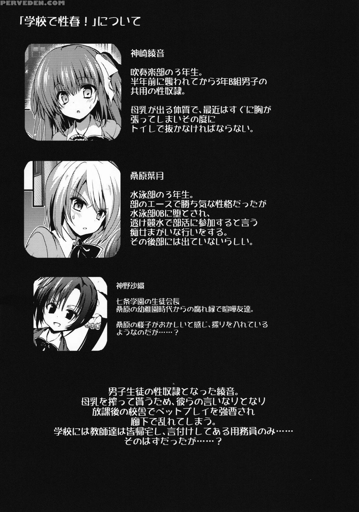 (c88) [otomekibun (sansyoku Amido)] Gakkou De Seishun! 11 [english] [desudesu] 1