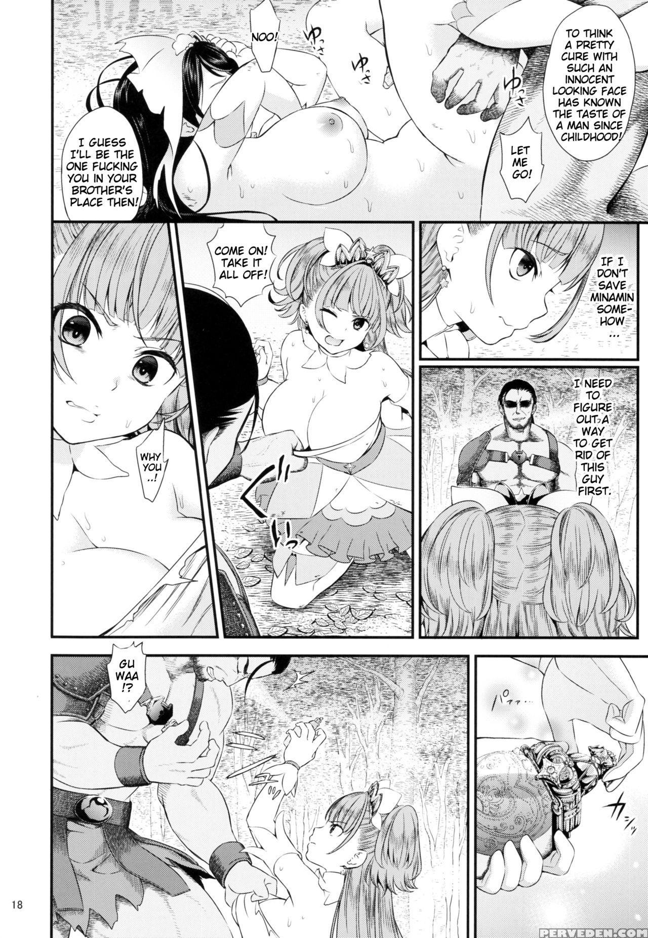 (c88) [yamada Ichizoku. (fukurokouji, Mokyu)] Seidorei Senki (go! Princess Precure) [english] {doujins.com} Chapter 1 Page 17