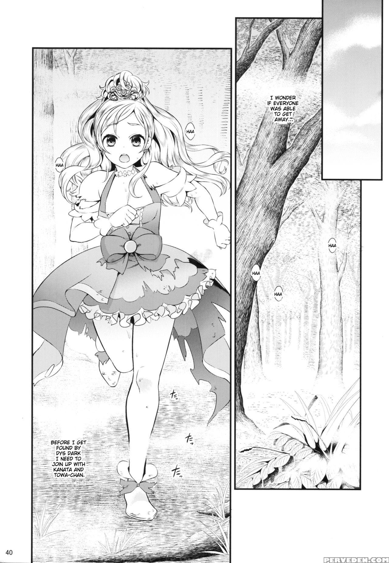 (c88) [yamada Ichizoku. (fukurokouji, Mokyu)] Seidorei Senki (go! Princess Precure) [english] {doujins.com} Chapter 1 Page 39