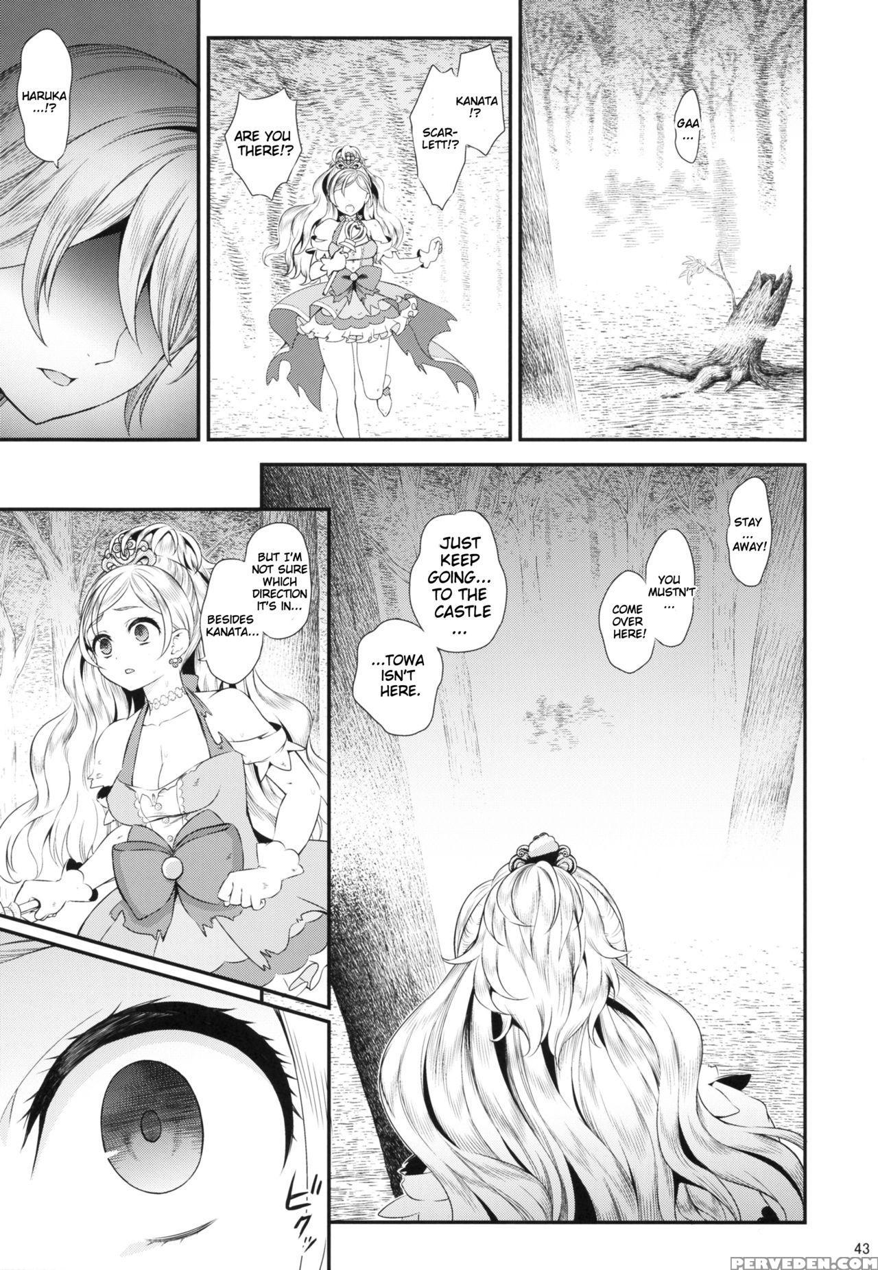 (c88) [yamada Ichizoku. (fukurokouji, Mokyu)] Seidorei Senki (go! Princess Precure) [english] {doujins.com} Chapter 1 Page 42