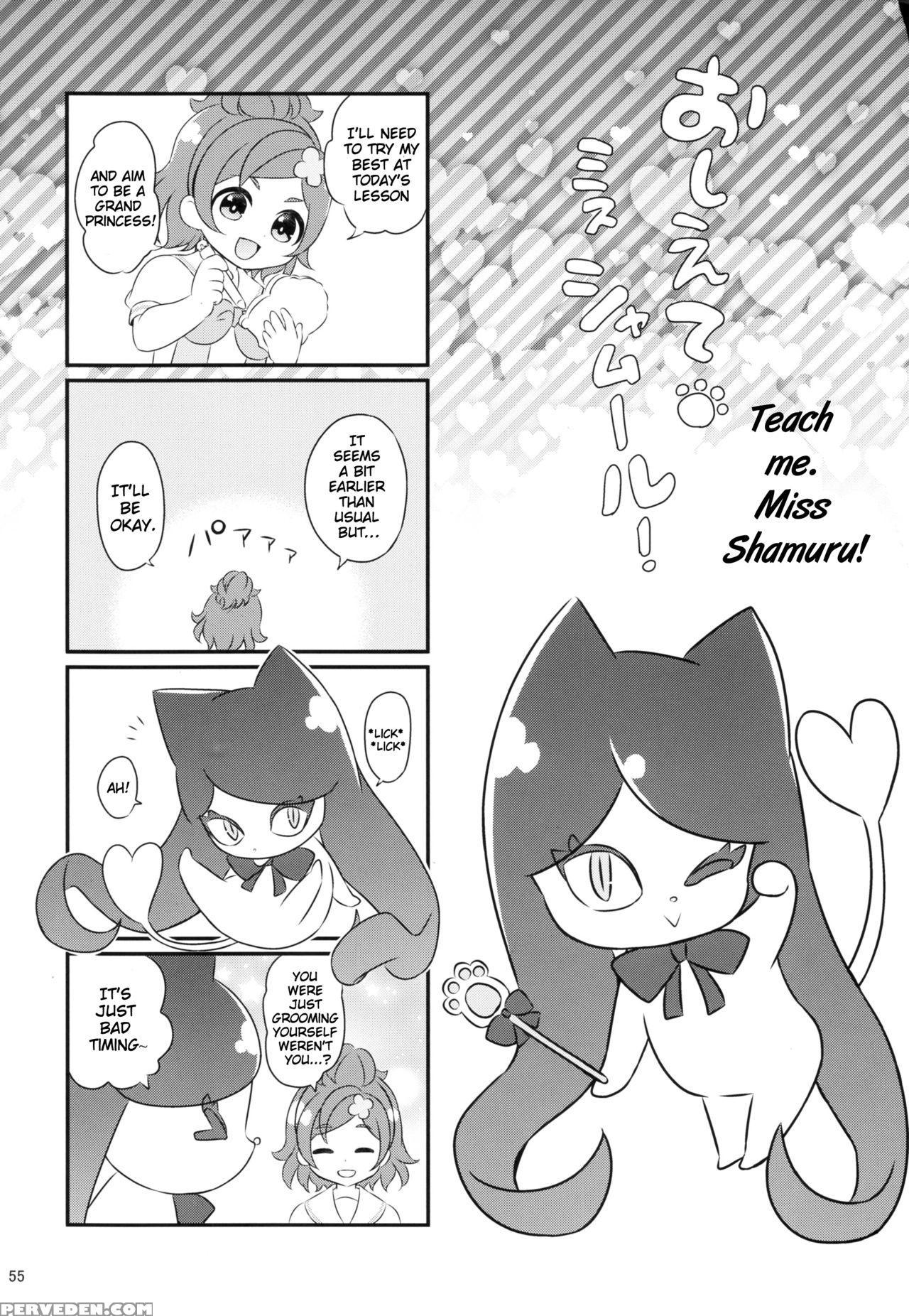 (c88) [yamada Ichizoku. (fukurokouji, Mokyu)] Seidorei Senki (go! Princess Precure) [english] {doujins.com} Chapter 1 Page 54