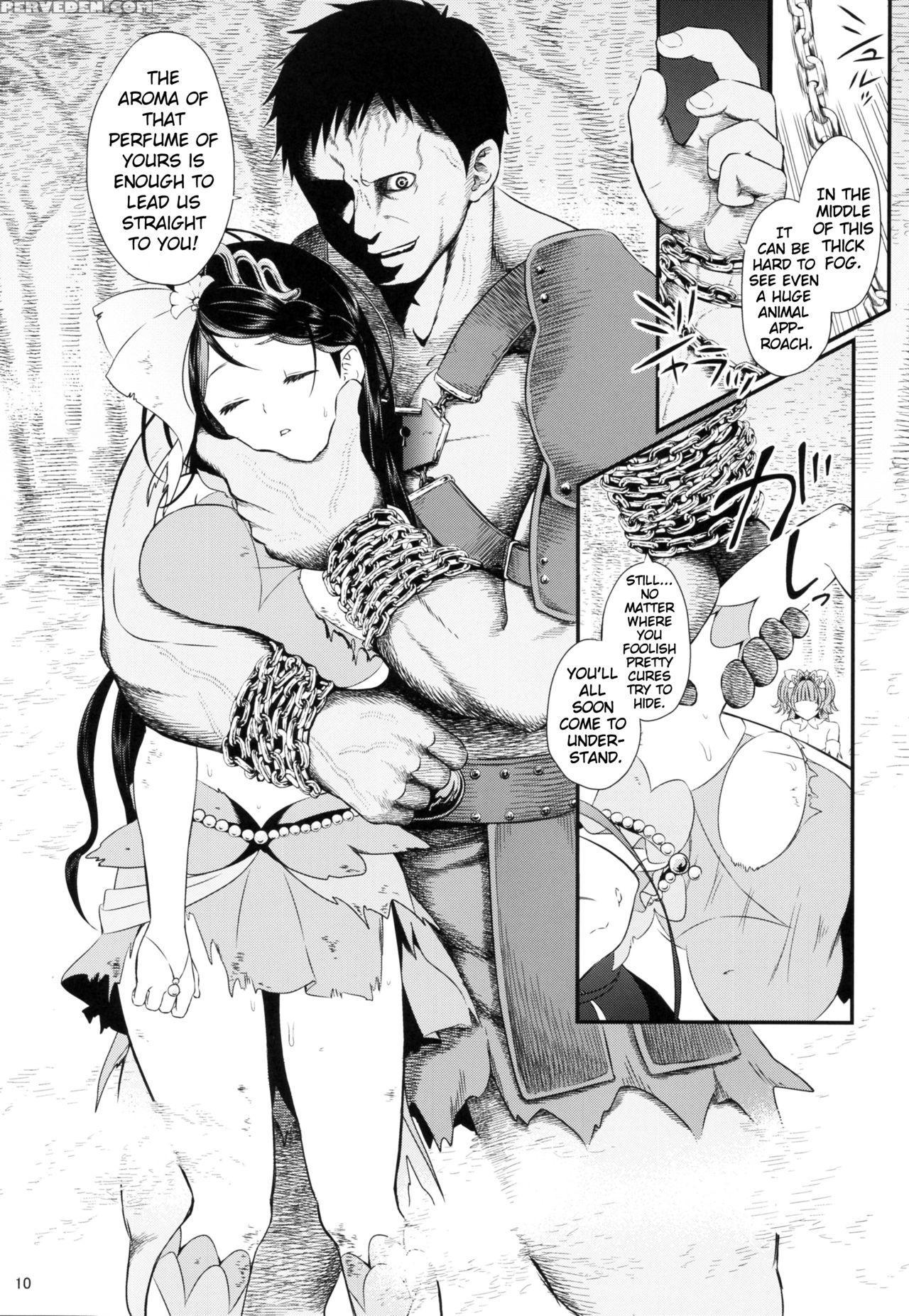 (c88) [yamada Ichizoku. (fukurokouji, Mokyu)] Seidorei Senki (go! Princess Precure) [english] {doujins.com} Chapter 1 Page 9