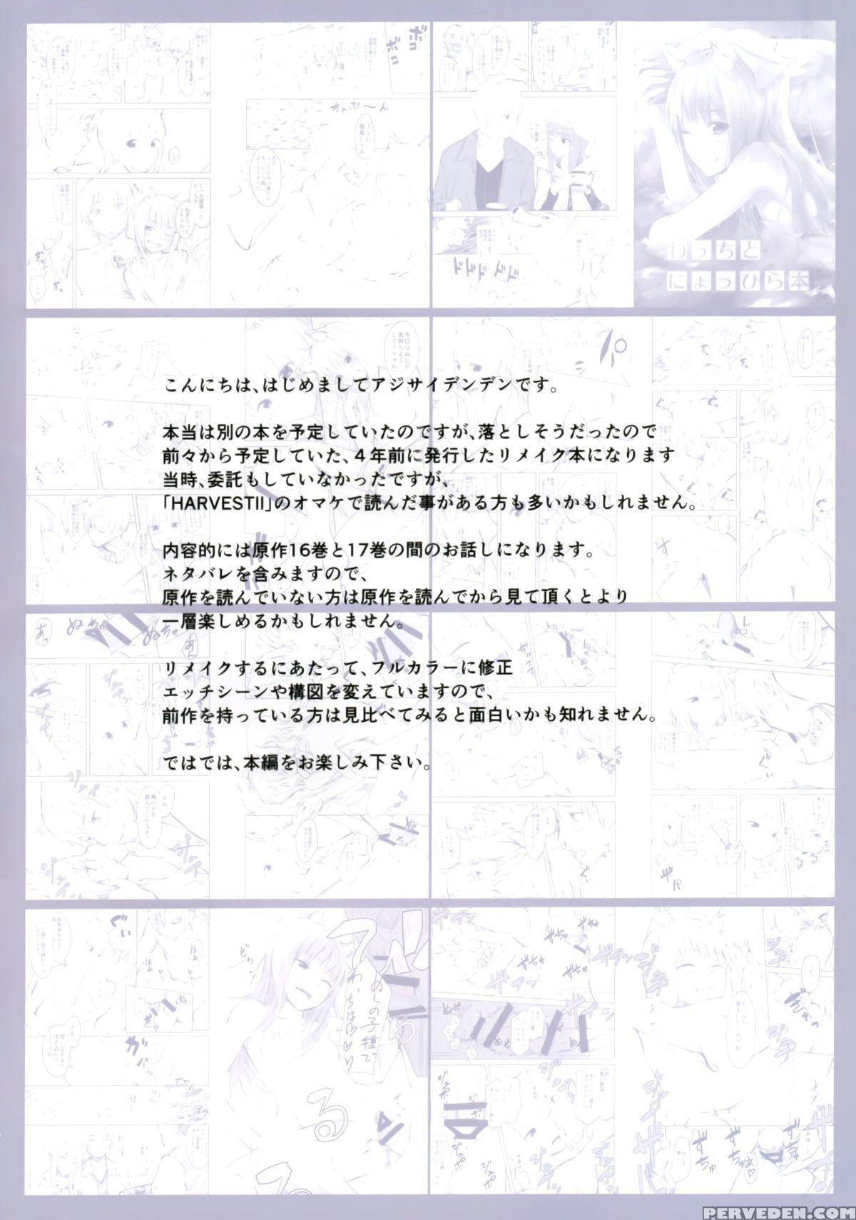 (c89) [ajisaidenden (kawakami Rokkaku, Takanashi Rei)] Wacchi To Nyohhira Bon Full Color (spice And Wolf)[english][decensored] 1