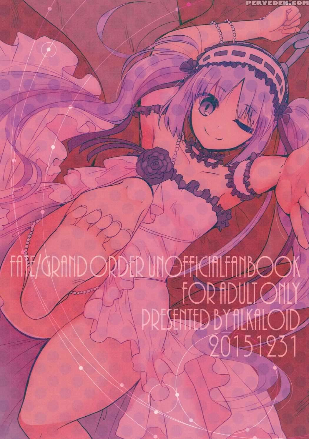 (c89) [alkaloid (izumiya Otoha)] Konya Wa Motto! Dokidoki Order (fate Grand Order) [english] [constantly] 1