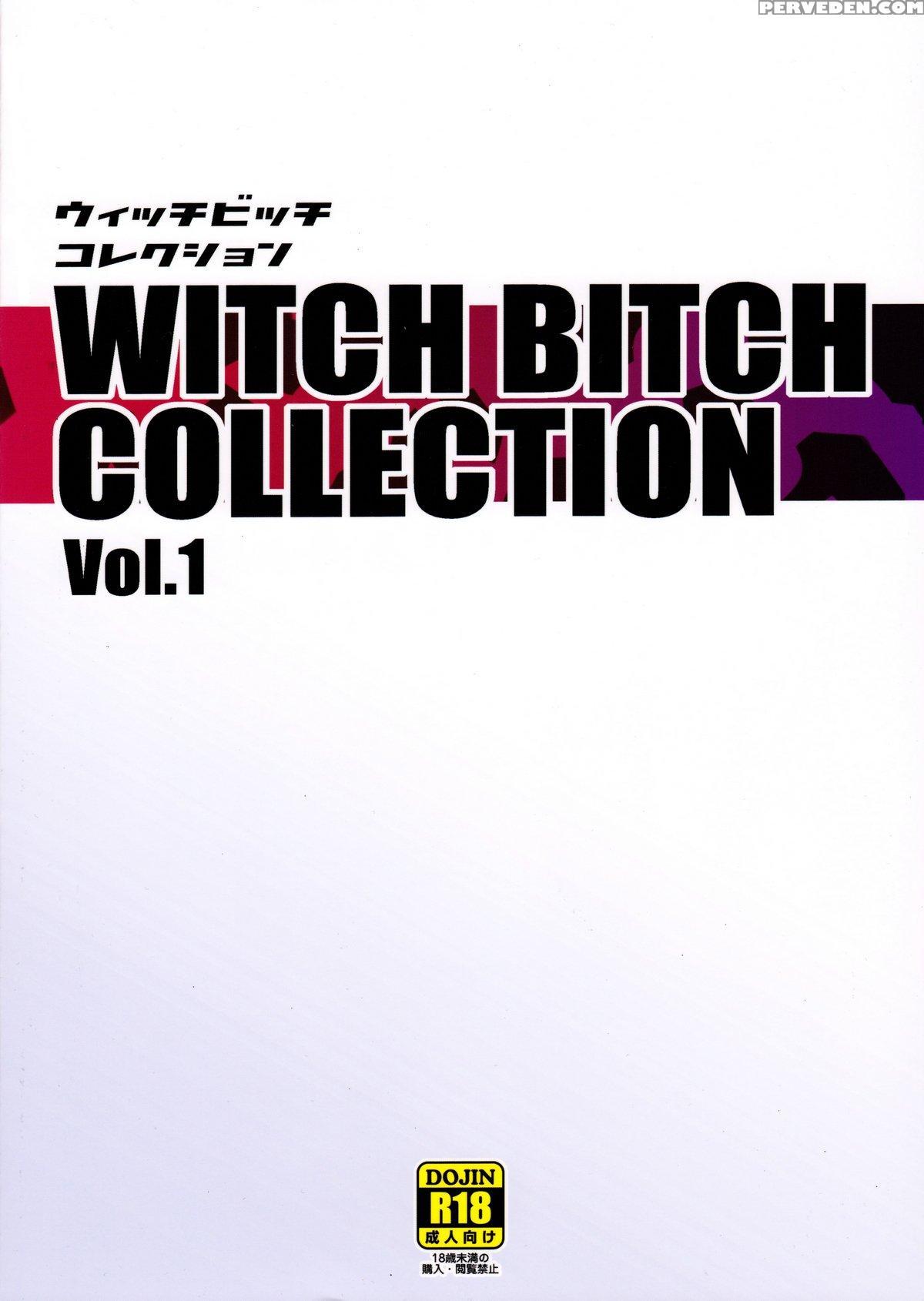 (c89) [funi Funi Lab (tamagoro)] Witch Bitch Collection Vol.1 (fairy Tail) [english] 1