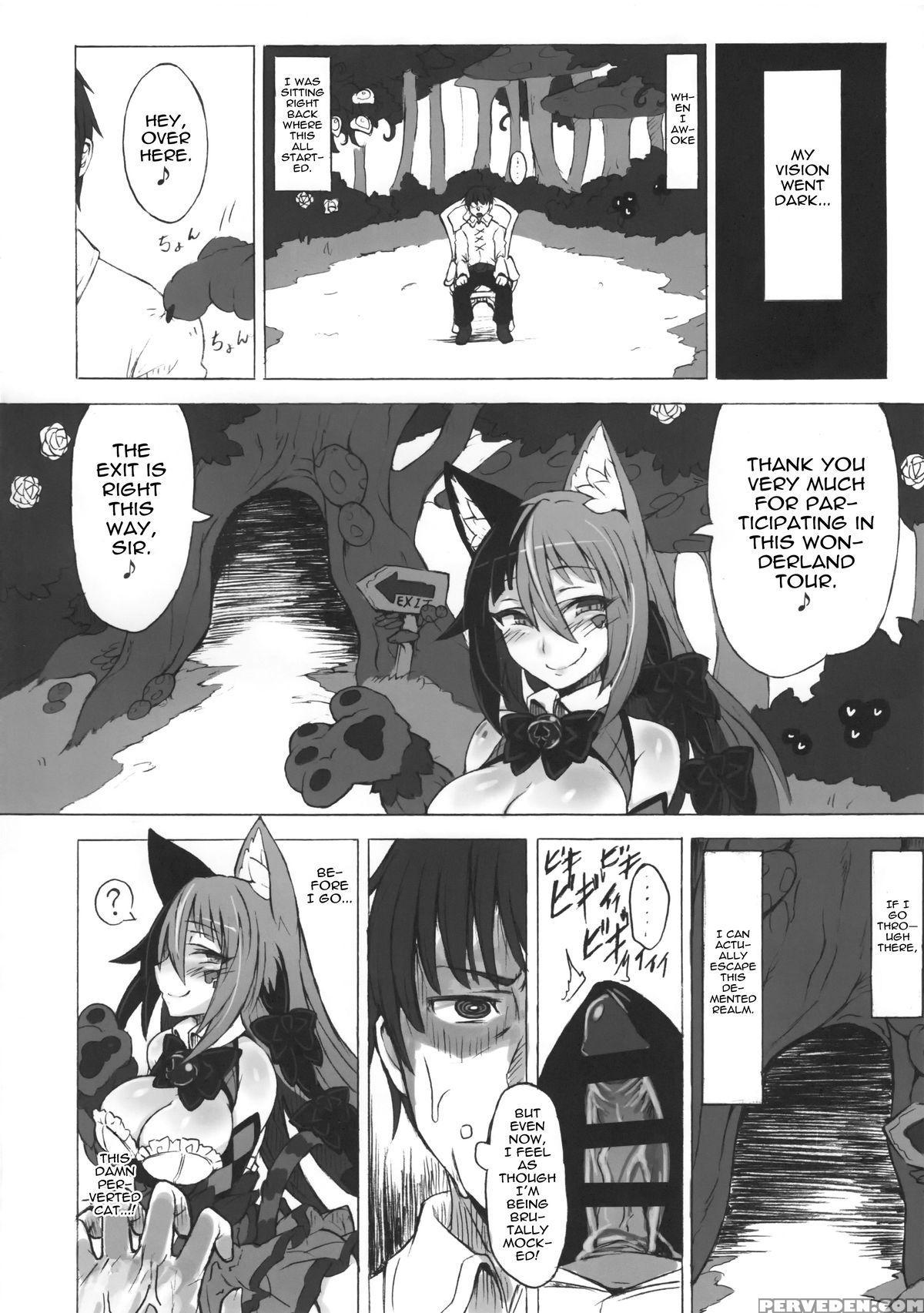 (c89) [kurobinega (kenkou Cross)] Mamono Musume Zukan Higai Houkoku ~cheshire Neko No Oidemase Fushigi No Kuni~ | Monstergirl Encyclopedia Damage Report ~cheshire's Welcome To Wonderland~ [english] [rampantserenity] 1