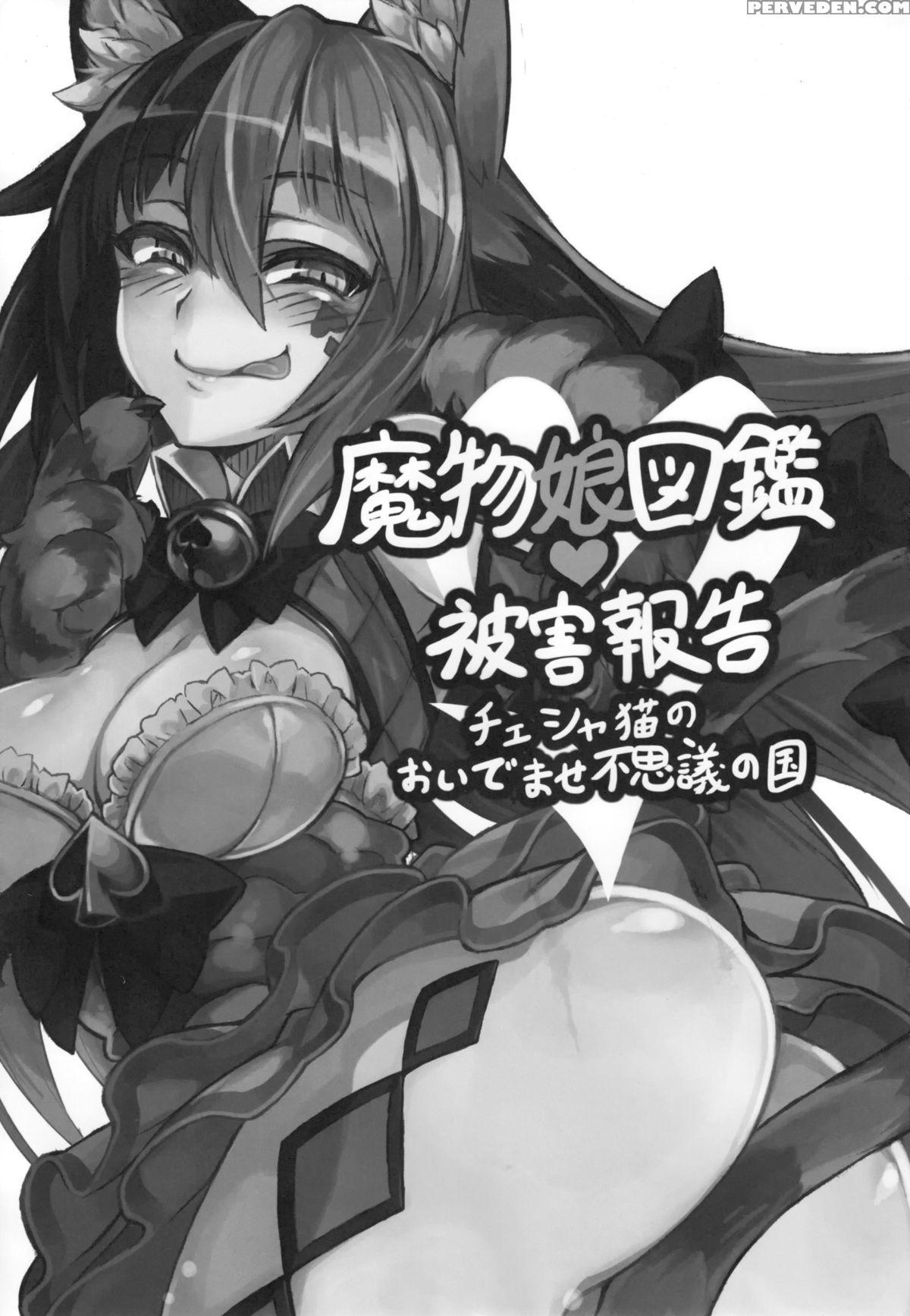 (c89) [kurobinega (kenkou Cross)] Mamono Musume Zukan Higai Houkoku ~cheshire Neko No Oidemase Fushigi No Kuni~ | Monstergirl Encyclopedia Damage Report ~cheshire's Welcome To Wonderland~ [english] [rampantserenity] 1