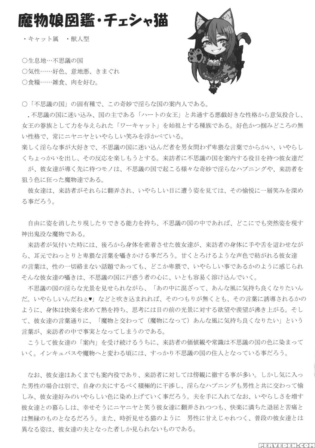 (c89) [kurobinega (kenkou Cross)] Mamono Musume Zukan Higai Houkoku ~cheshire Neko No Oidemase Fushigi No Kuni~ | Monstergirl Encyclopedia Damage Report ~cheshire's Welcome To Wonderland~ [english] [rampantserenity] 1