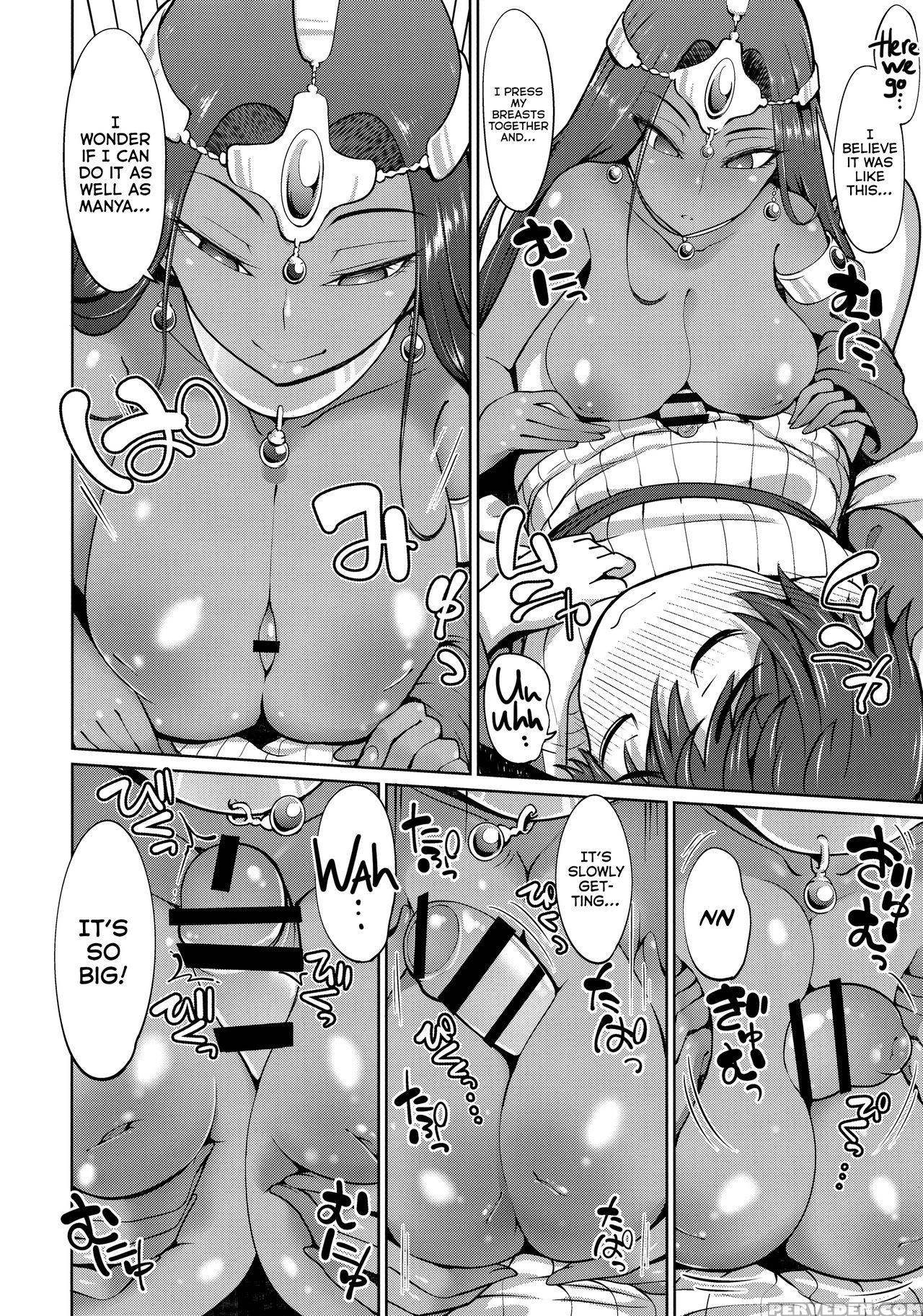(c90) [arearee (arearee)] Manya-san To Minea-san To Are Suru Hon | Manya And Minea Doing You-know-what Book (dragon Quest Iv) [english] =the Lost Light= 1
