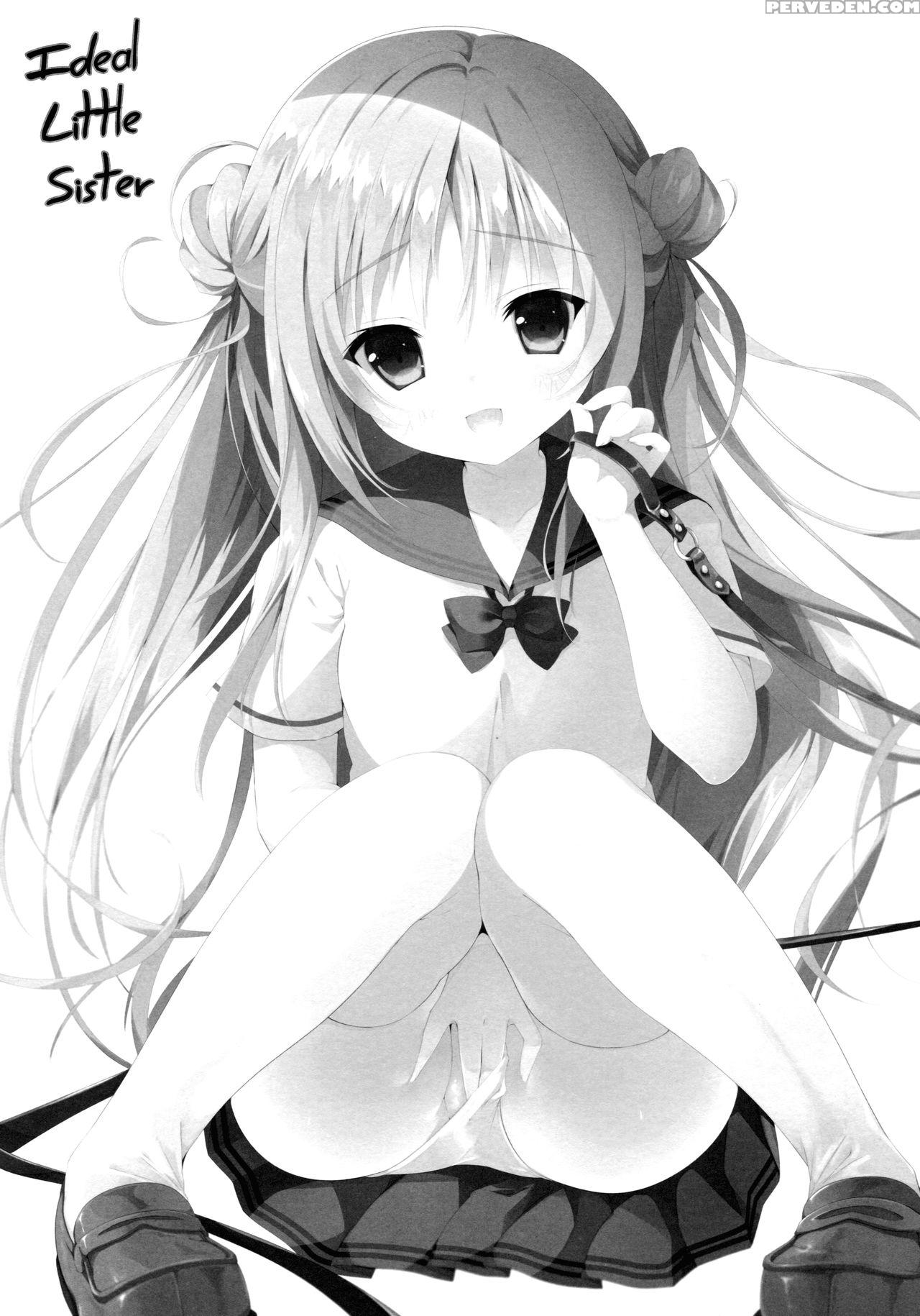 (c90) [ins-mode (amanagi Seiji)] Risou No Imouto 3 [english] [biribiri] 1
