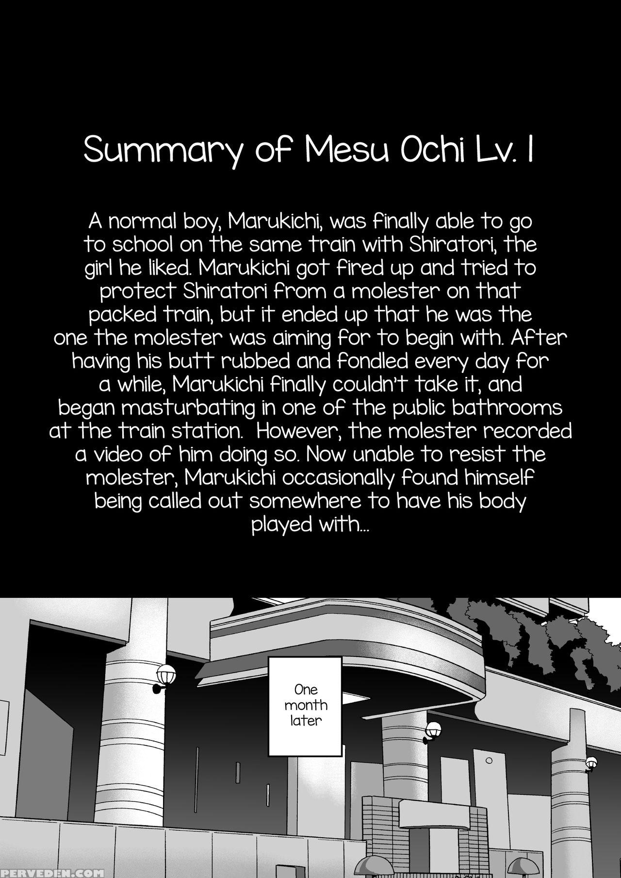 (c90) [kome Nouka (komezawa)] Mesu Ochi Level Lv.2 [english] [mysterymeat3] 1