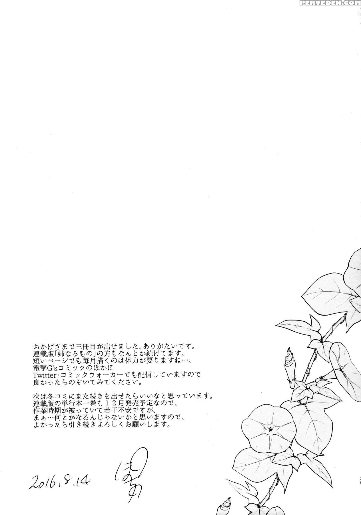 (c90) [pochi-goya. (pochi.)] Ane Naru Mono 3 (ane Naru Mono) [english] [squigglesjp] 1