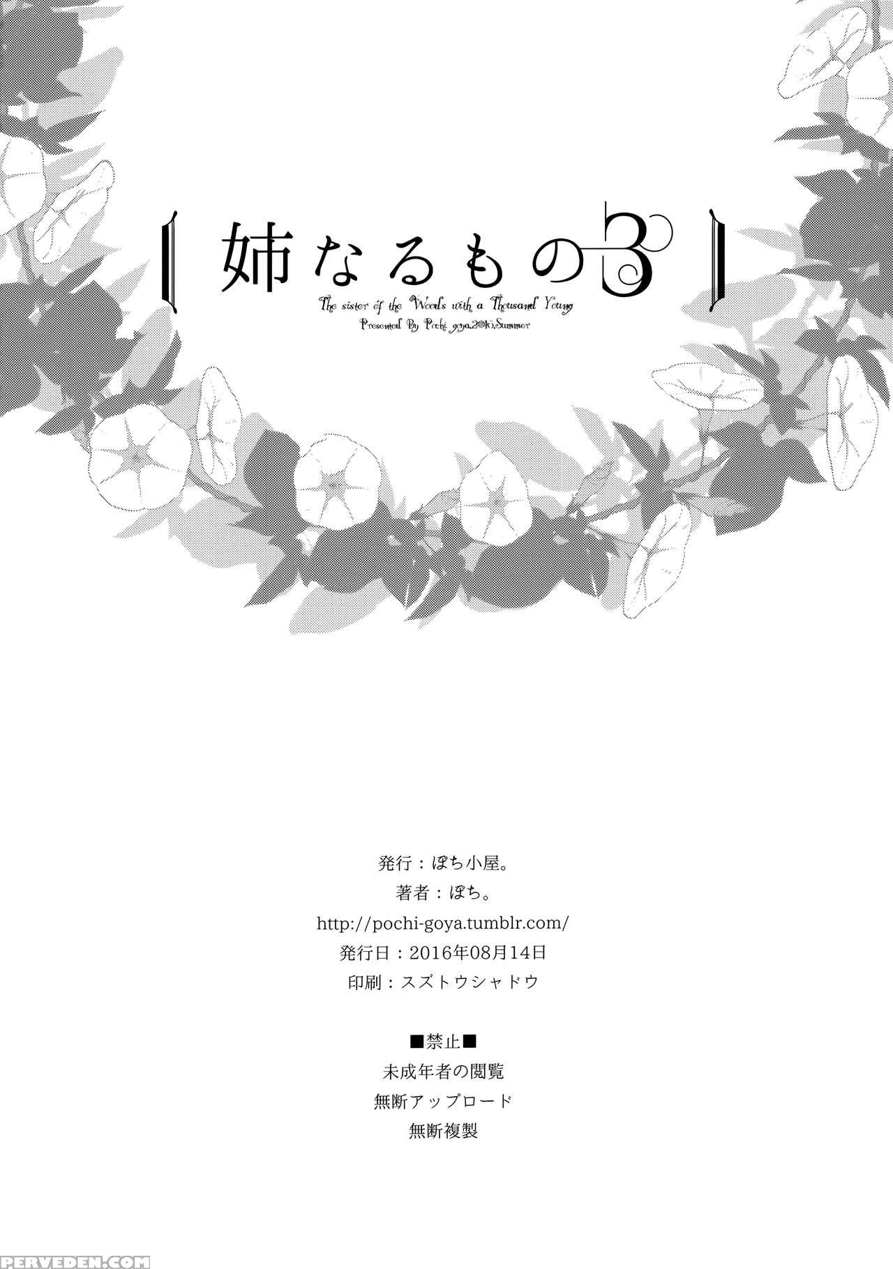 (c90) [pochi-goya. (pochi.)] Ane Naru Mono 3 | An Elder Sister 3 (ane Naru Mono) [english] [facedesk] 1