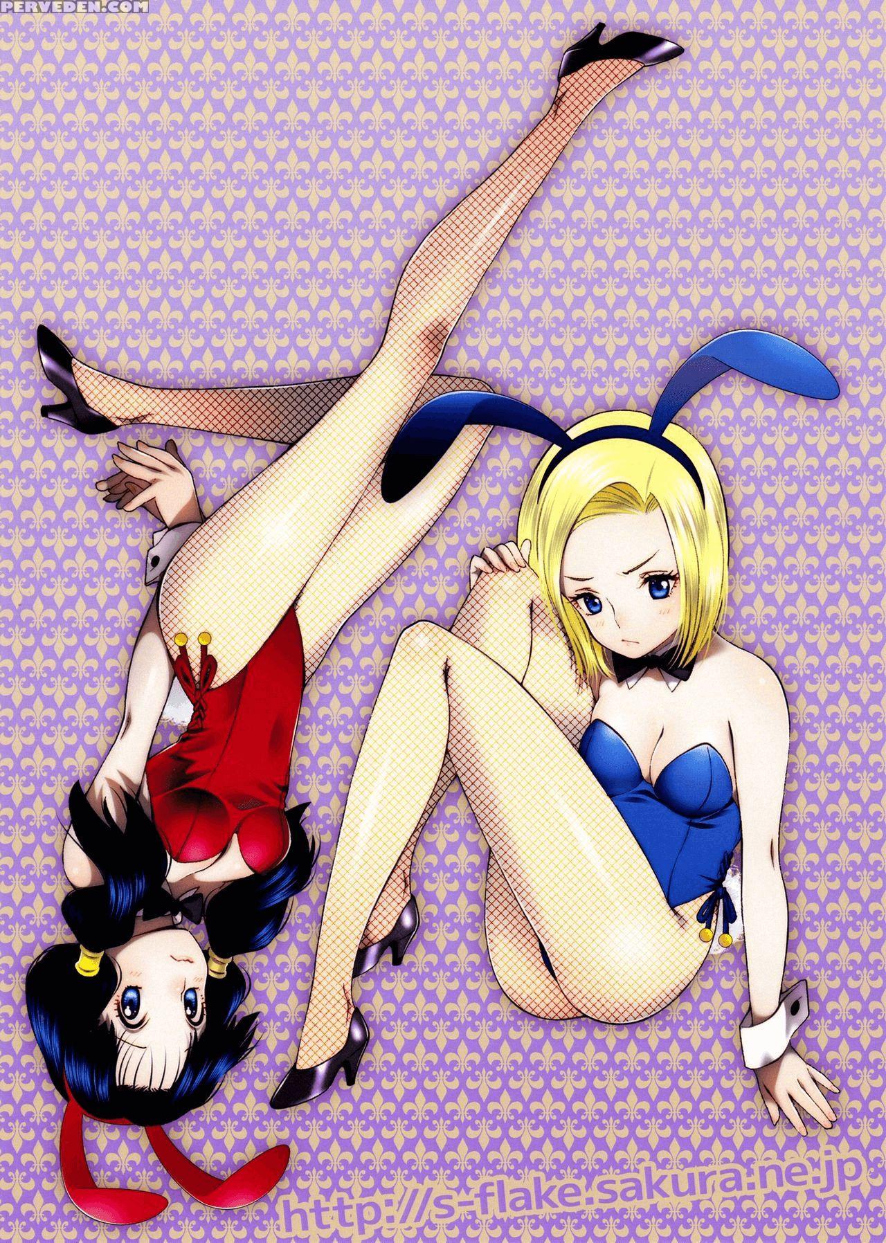 (c90) [s-flake (yukimitsu)] Dragon Night2 (dragon Ball Z) [english] [#based Anons] Chapter 1 Page 14