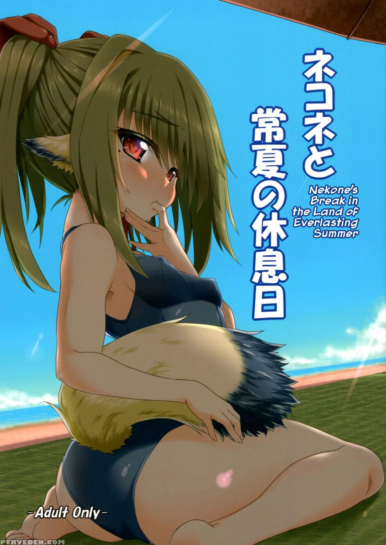 (c91) [buttyakedo (micchan)] Nekone To Tokonatsu N... 1