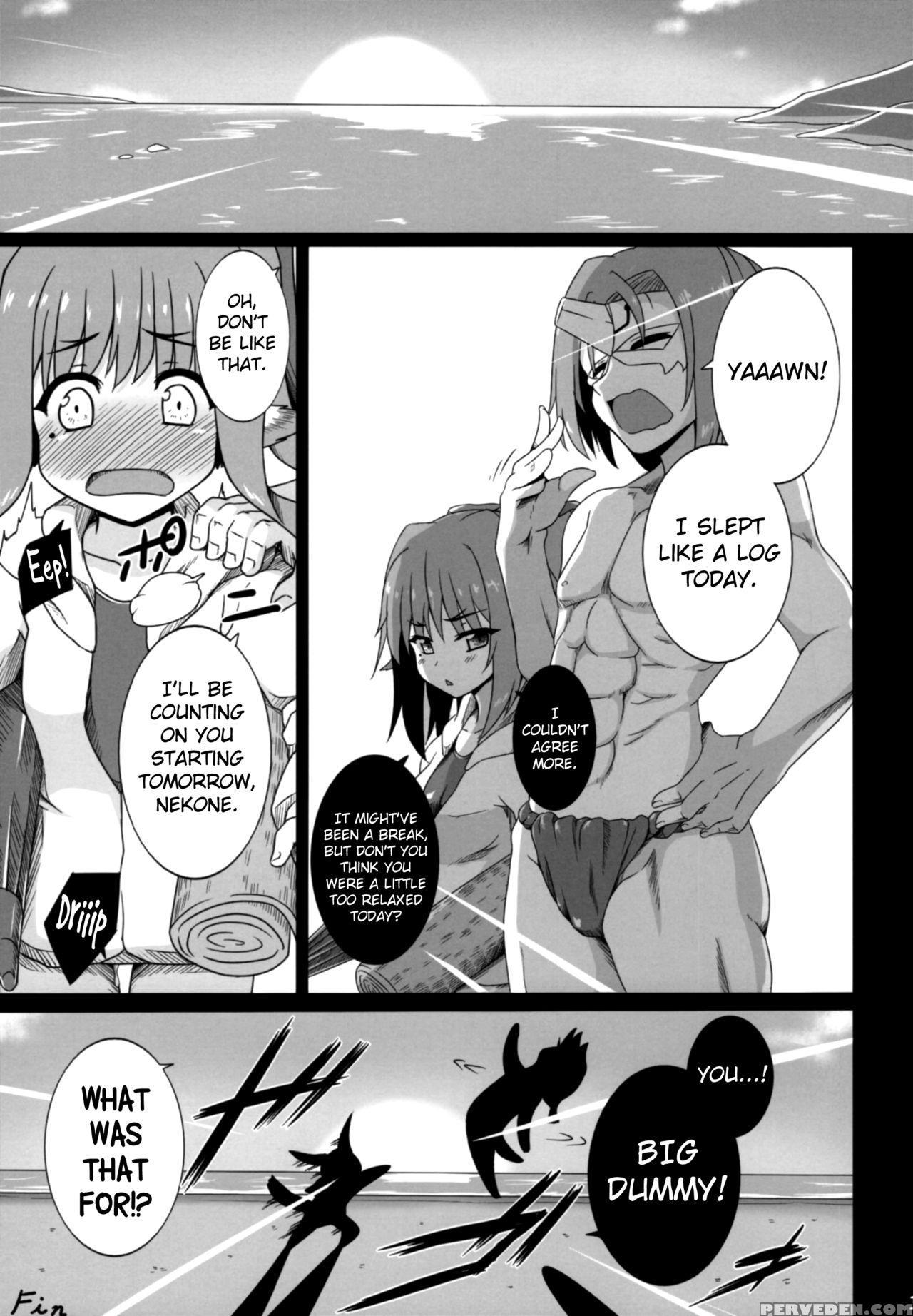 (c91) [buttyakedo (micchan)] Nekone To Tokonatsu N... 1