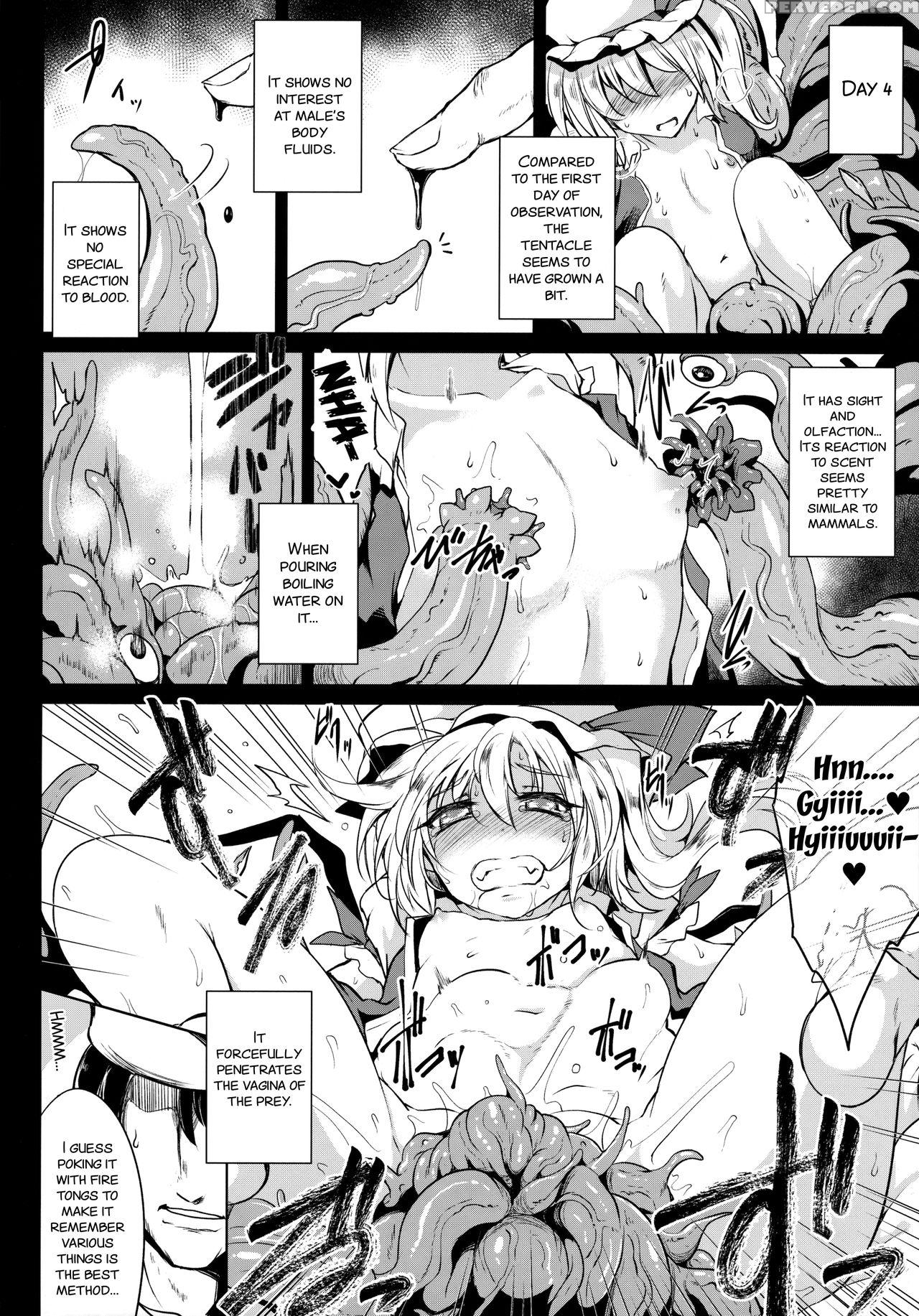 (c91) [megasoundorchestra (sanwaribiki)] Gensou Enkou -flandre- Shoku (touhou Project) [english] [smdc] 1