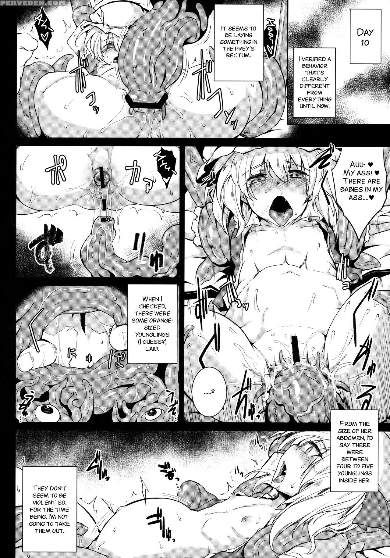 (c91) [megasoundorchestra (sanwaribiki)] Gensou Enkou -flandre- Shoku (touhou Project) [english] [smdc] 1