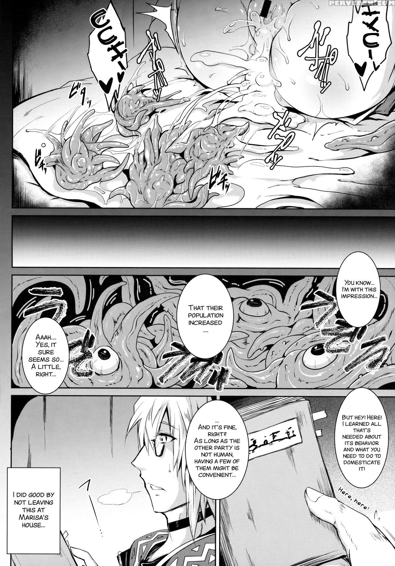 (c91) [megasoundorchestra (sanwaribiki)] Gensou Enkou -flandre- Shoku (touhou Project) [english] [smdc] 1