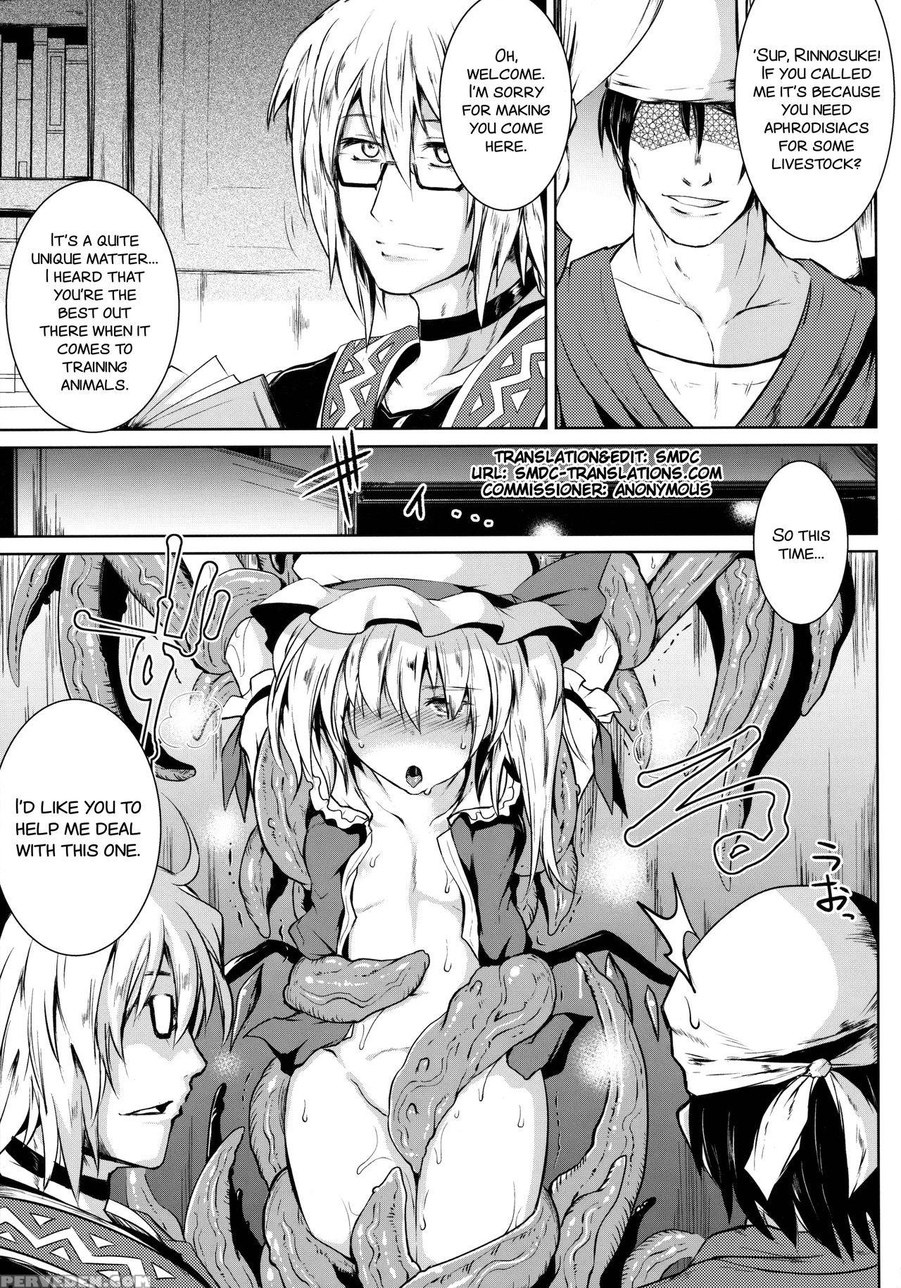 (c91) [megasoundorchestra (sanwaribiki)] Gensou Enkou -flandre- Shoku (touhou Project) [english] [smdc] 1