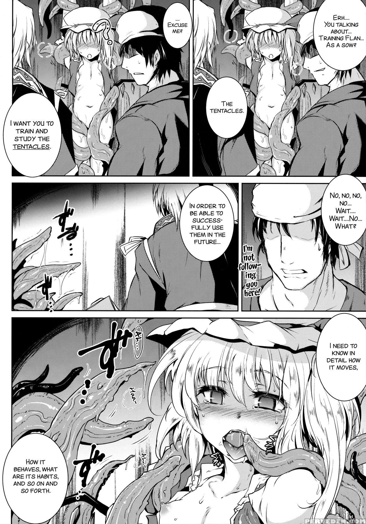 (c91) [megasoundorchestra (sanwaribiki)] Gensou Enkou -flandre- Shoku (touhou Project) [english] [smdc] 1