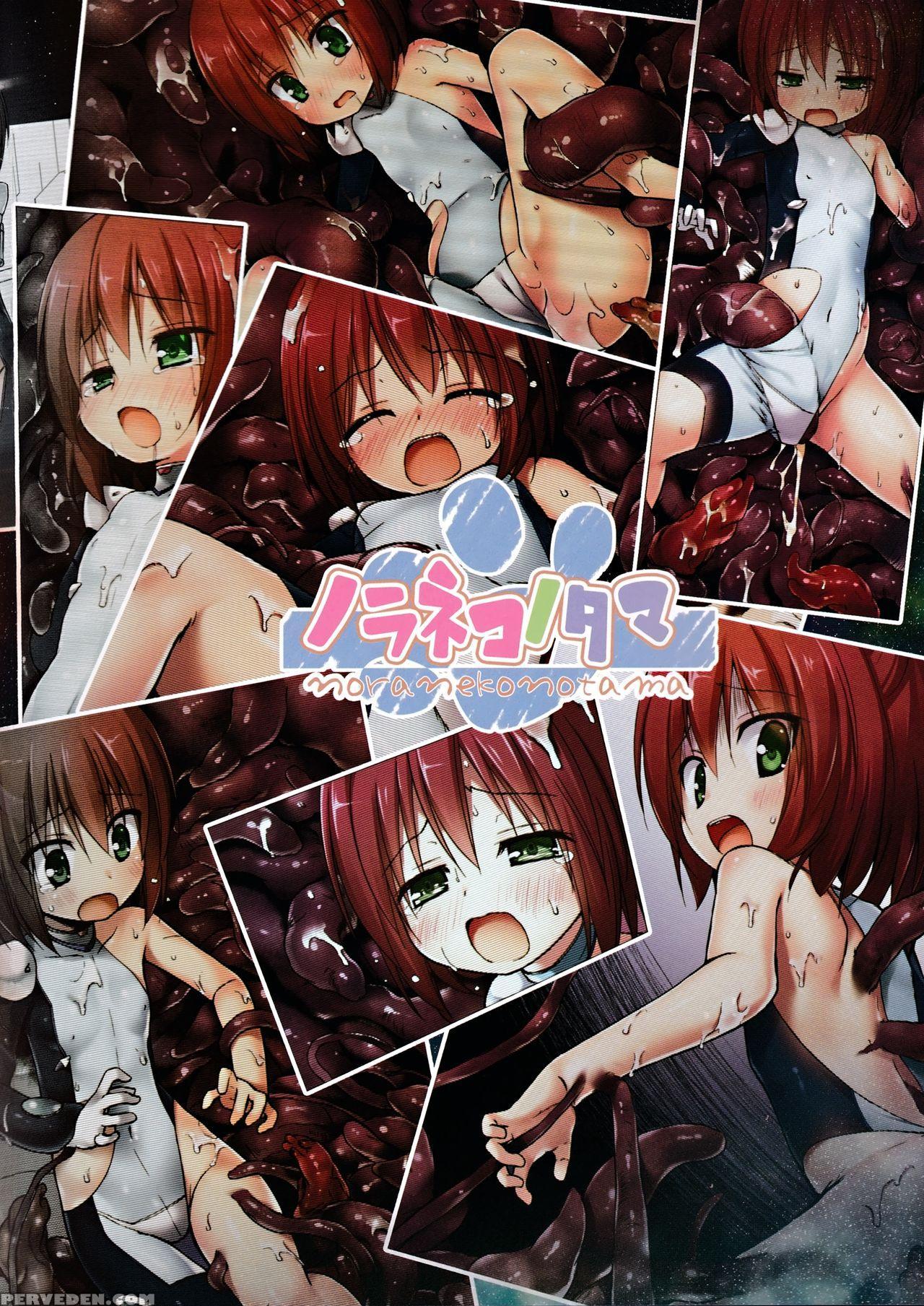 (c91) [noraneko-no-tama (yukino Minato)] Sora No Hate Made Full Color Edition | To The End Of The Sky [english] [mant] 1