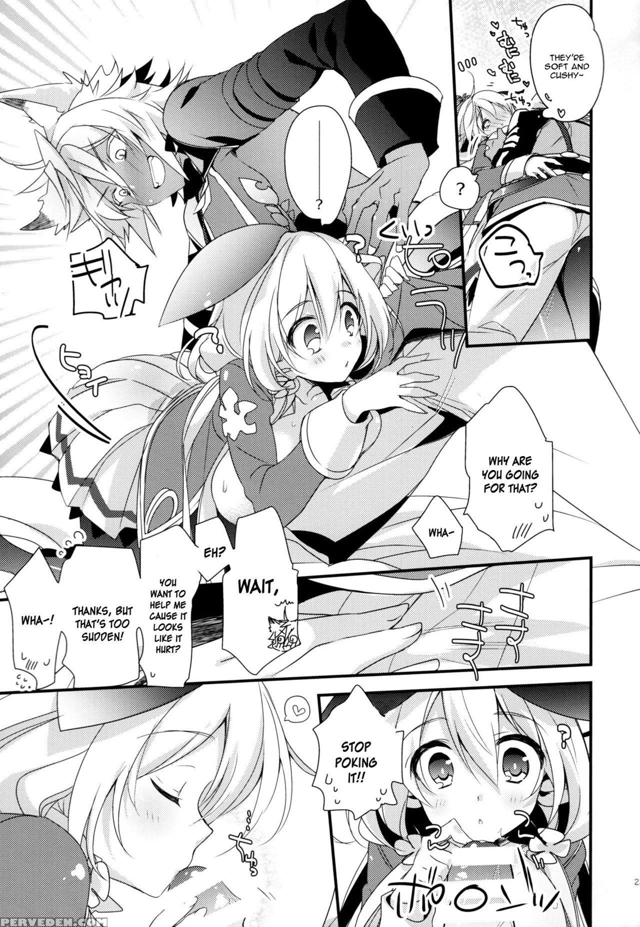 (c91) [sui Sui Works (mizuno Sao)] 500-sai Kurai Toshiue No Seishoujuu To H Shitai Hanashi. (granblue Fantasy) [english] [constantly] 1