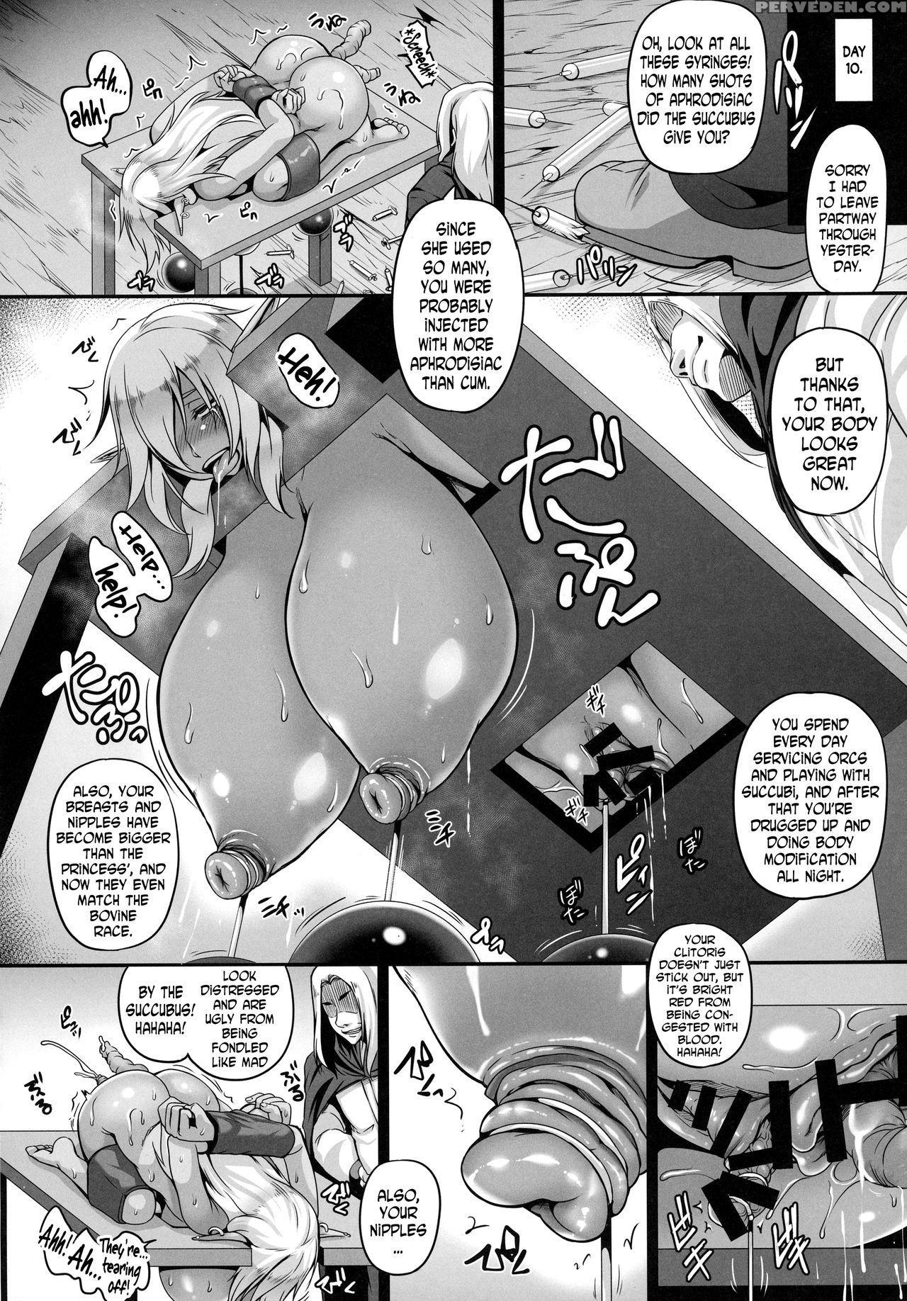 (c91) [tiramisu Tart (kazuhiro)] Reishuu No Dark Elf [english] [n04h] 1