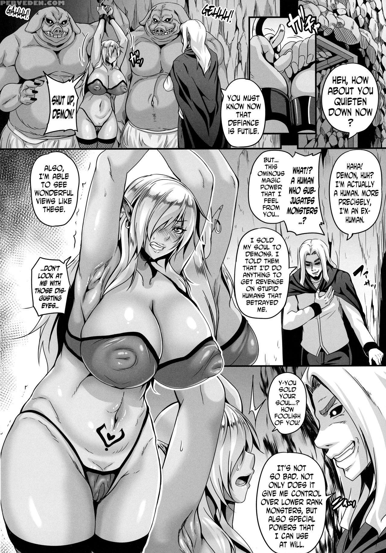 (c91) [tiramisu Tart (kazuhiro)] Reishuu No Dark Elf [english] [n04h] 1