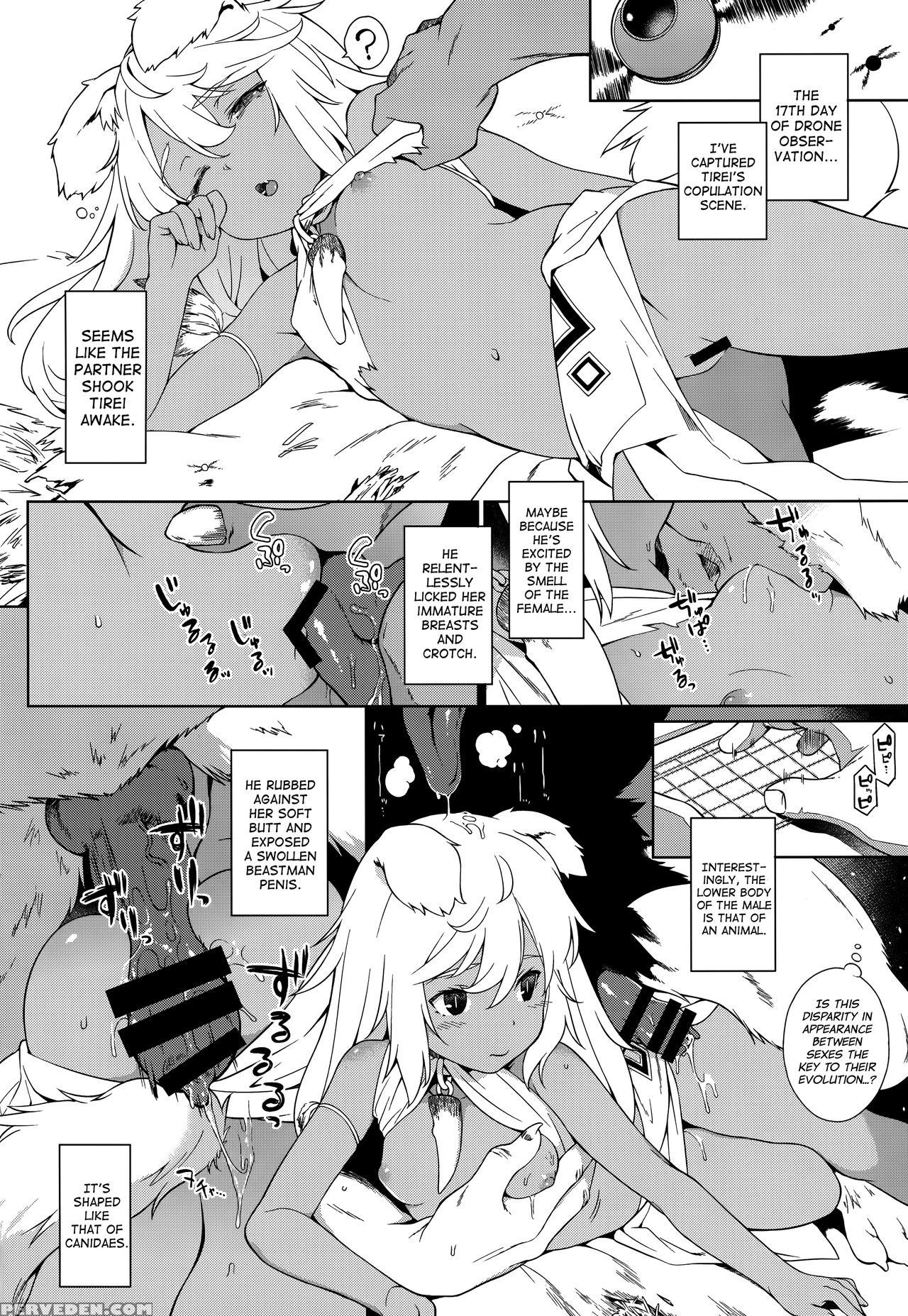(c92) [iriomote (saryuu)] Juujin Seitai Kansatsu Kiroku [english] [biribiri] 1