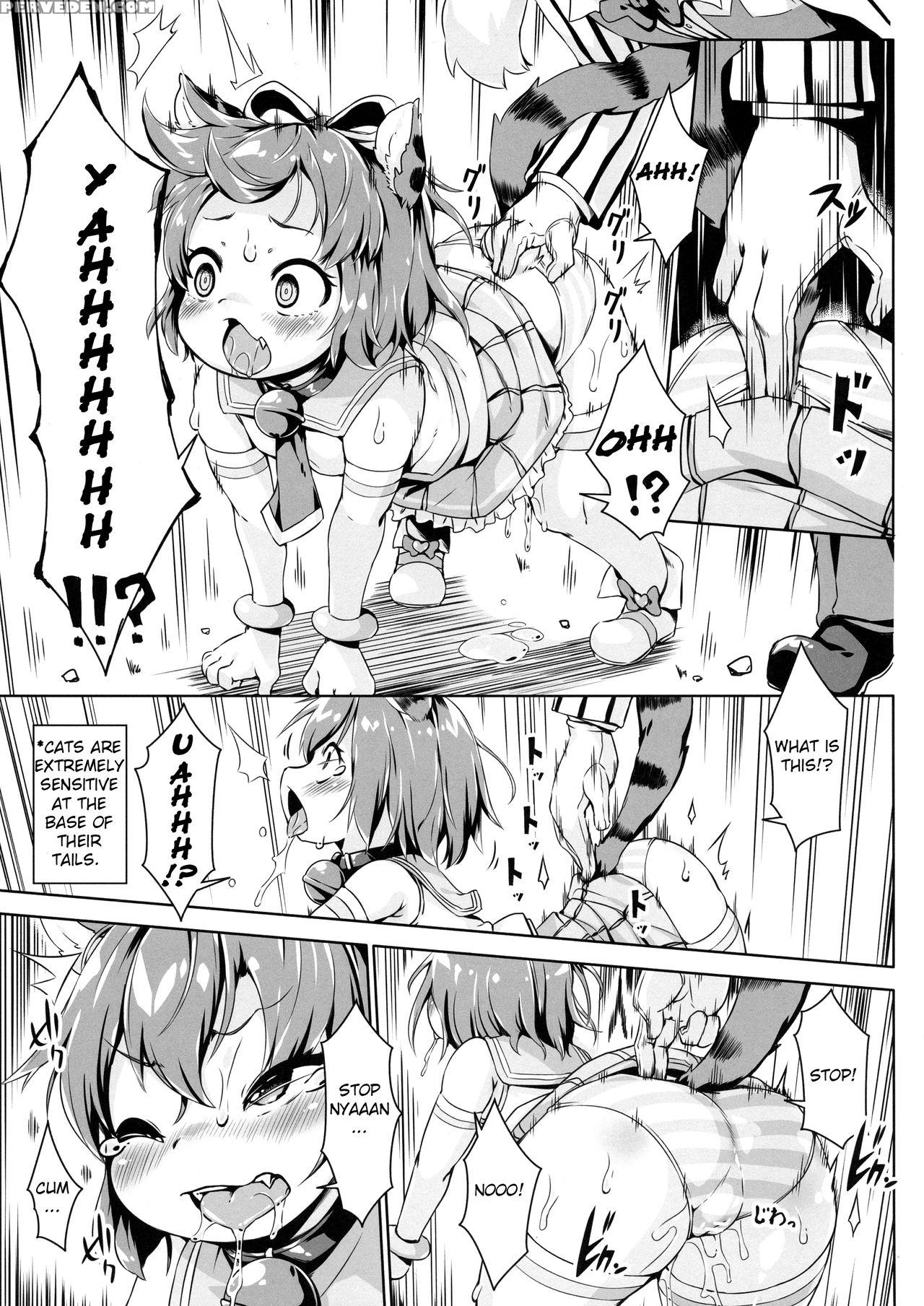 (c92) [nanamehan (hansharu)] Neko Ochi Shine Fairi... 1