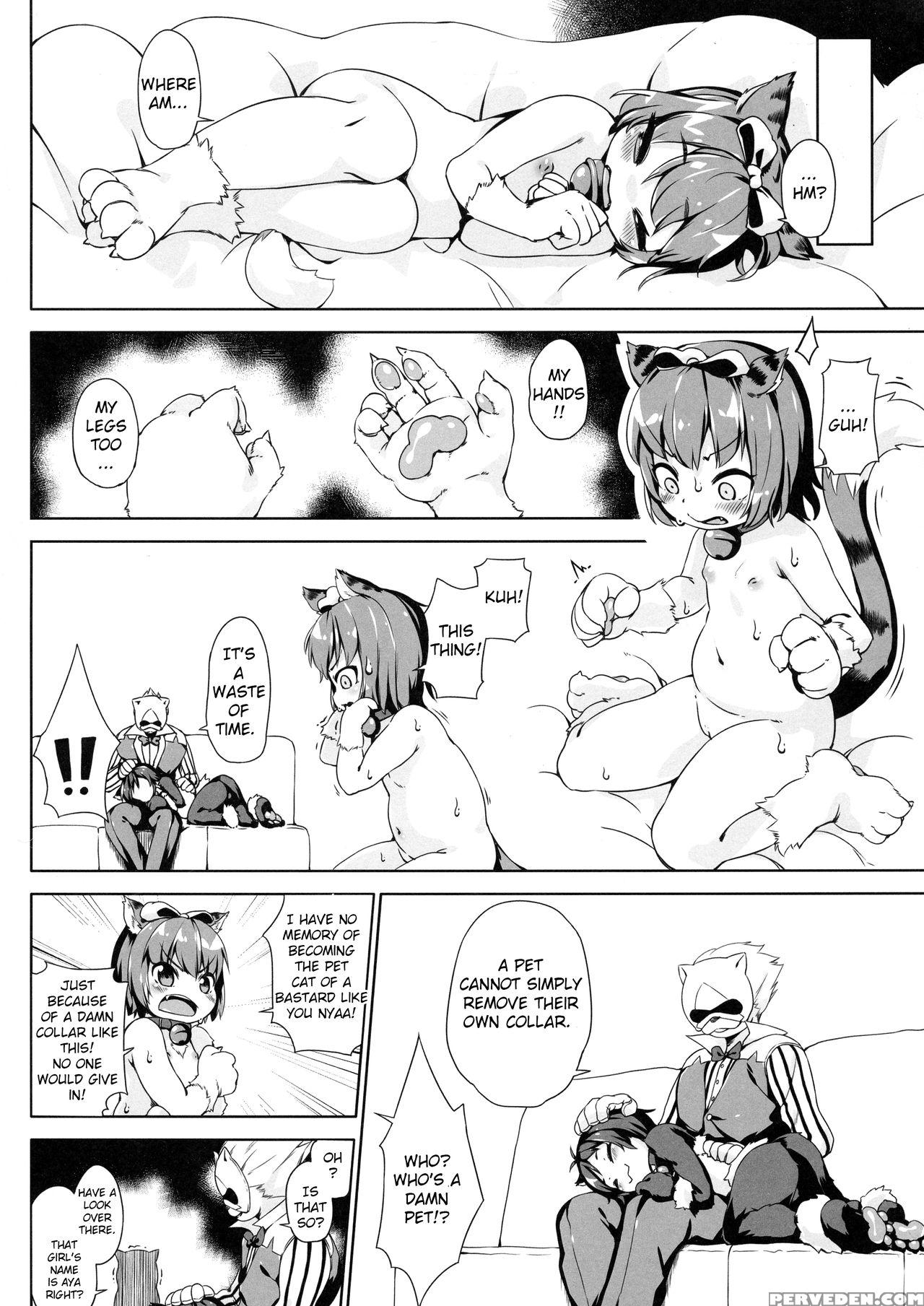 (c92) [nanamehan (hansharu)] Neko Ochi Shine Fairi... 1