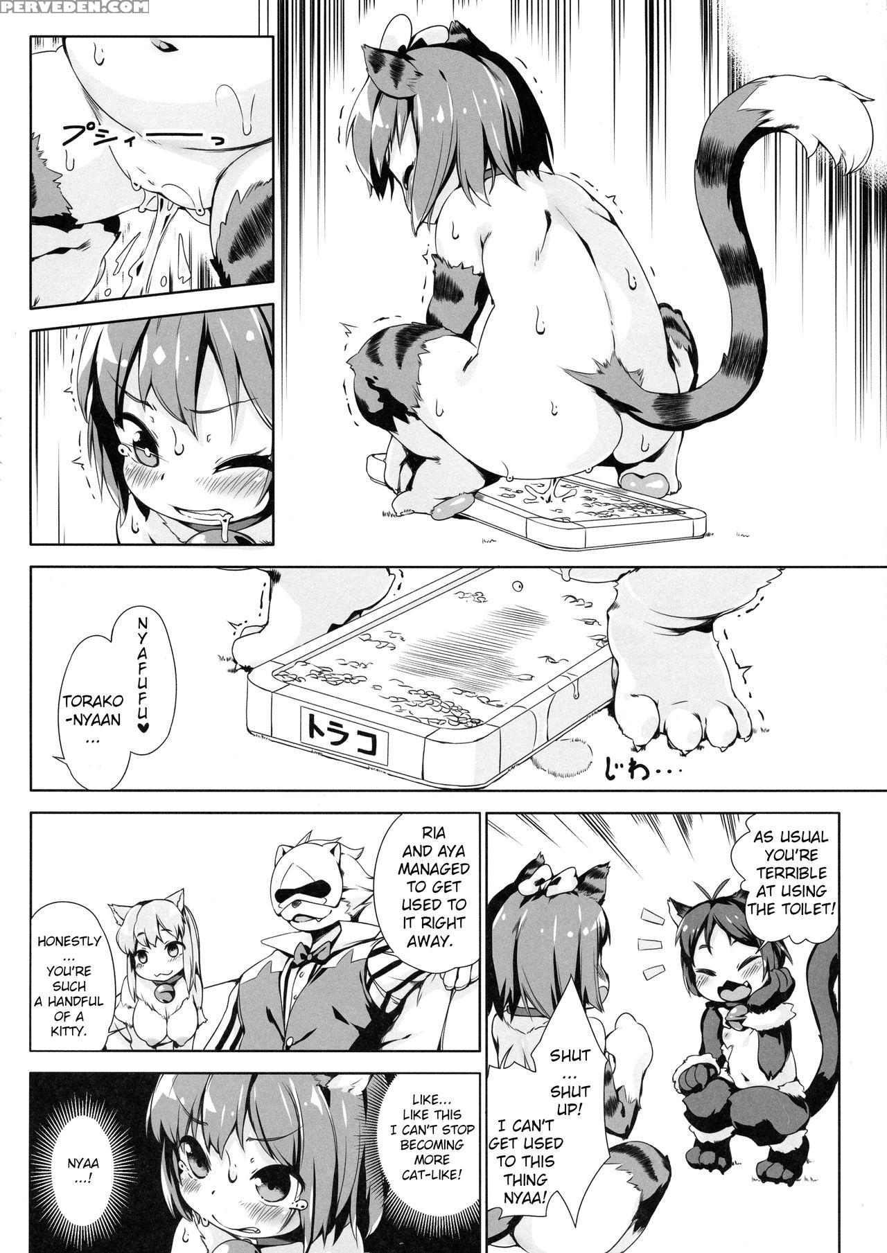 (c92) [nanamehan (hansharu)] Neko Ochi Shine Fairi... 1