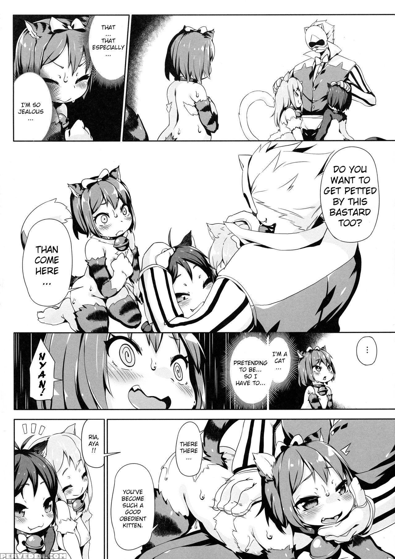 (c92) [nanamehan (hansharu)] Neko Ochi Shine Fairi... 1