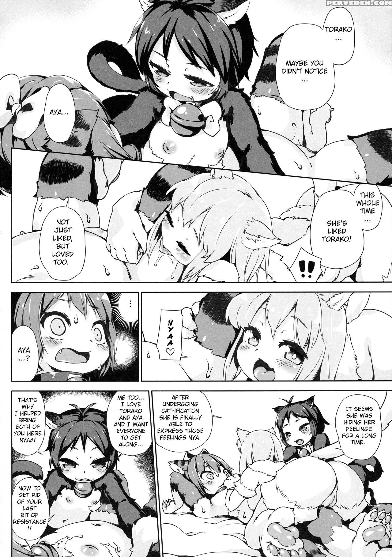 (c92) [nanamehan (hansharu)] Neko Ochi Shine Fairi... 1