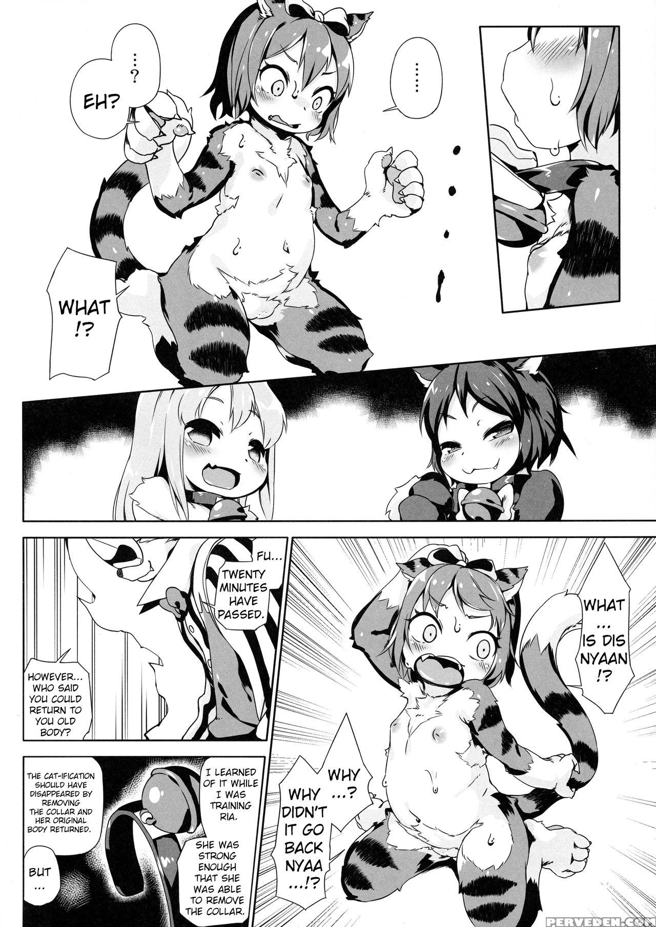 (c92) [nanamehan (hansharu)] Neko Ochi Shine Fairi... 1