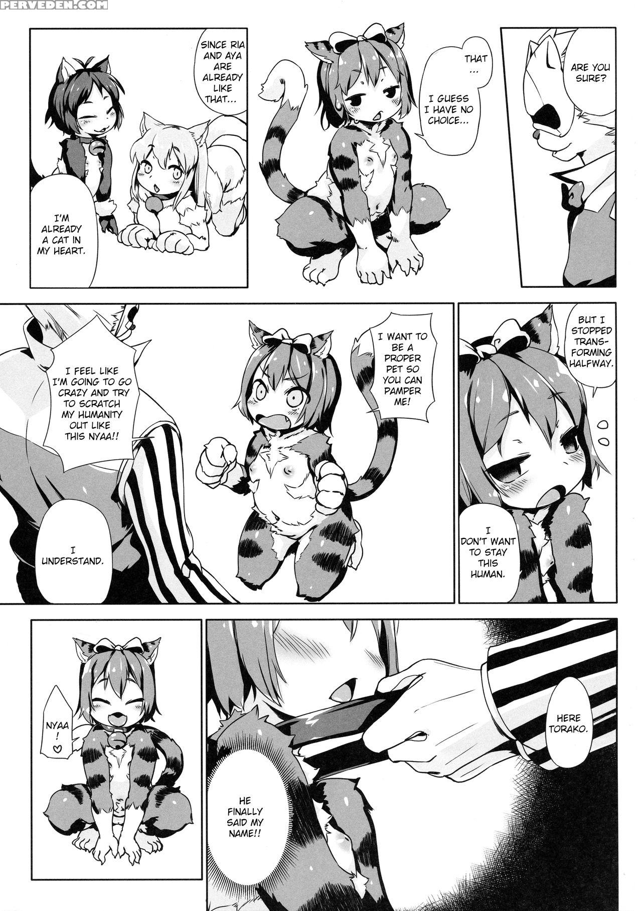 (c92) [nanamehan (hansharu)] Neko Ochi Shine Fairi... 1